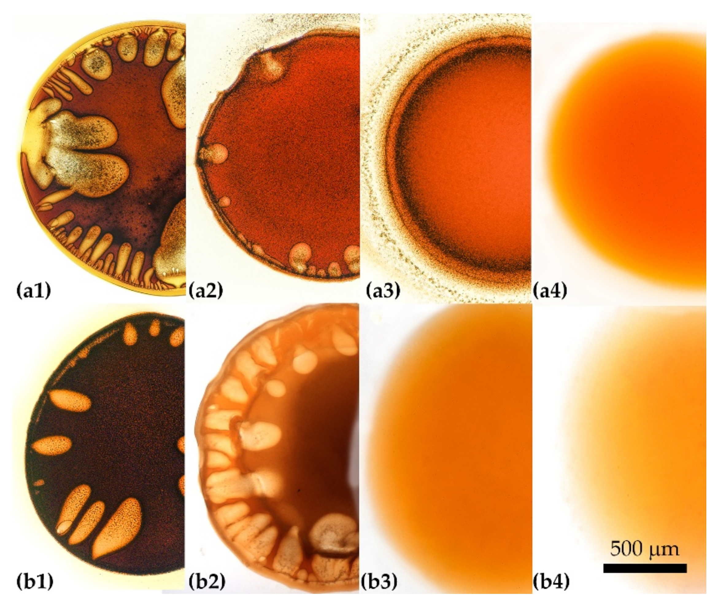 Materials 15 00808 g010