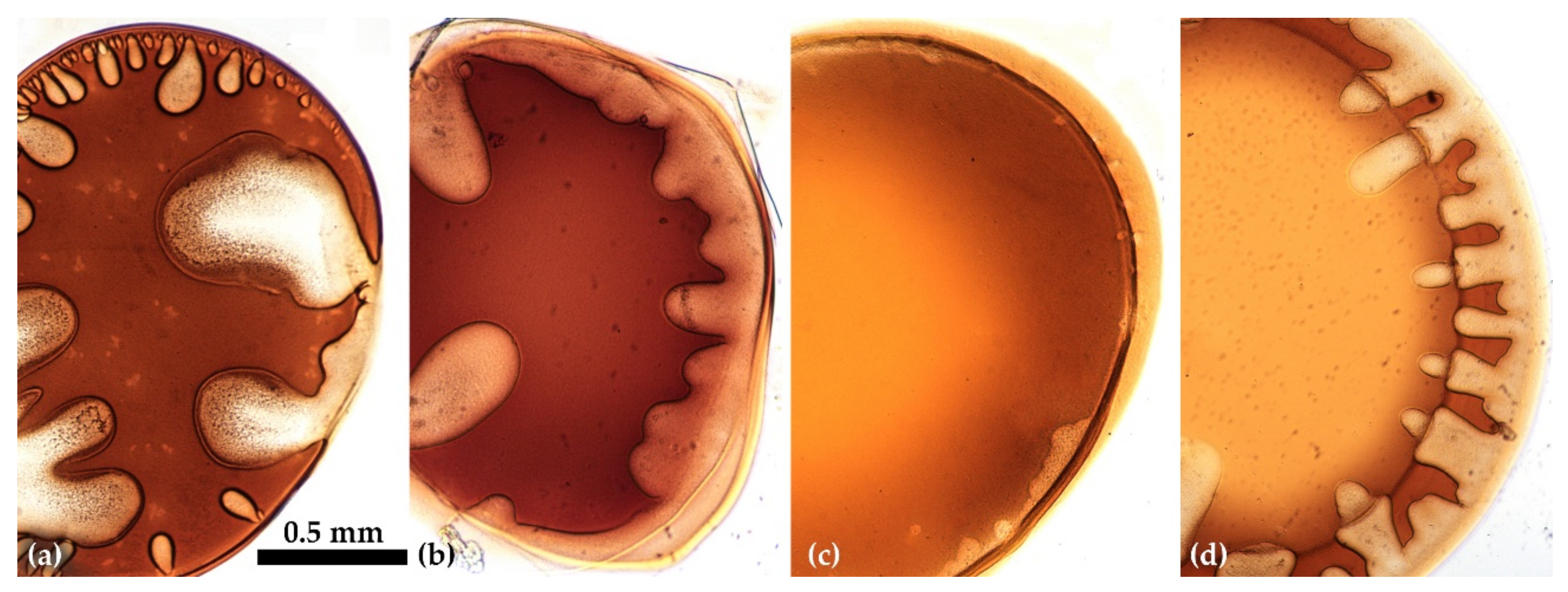 Materials 15 00808 g012