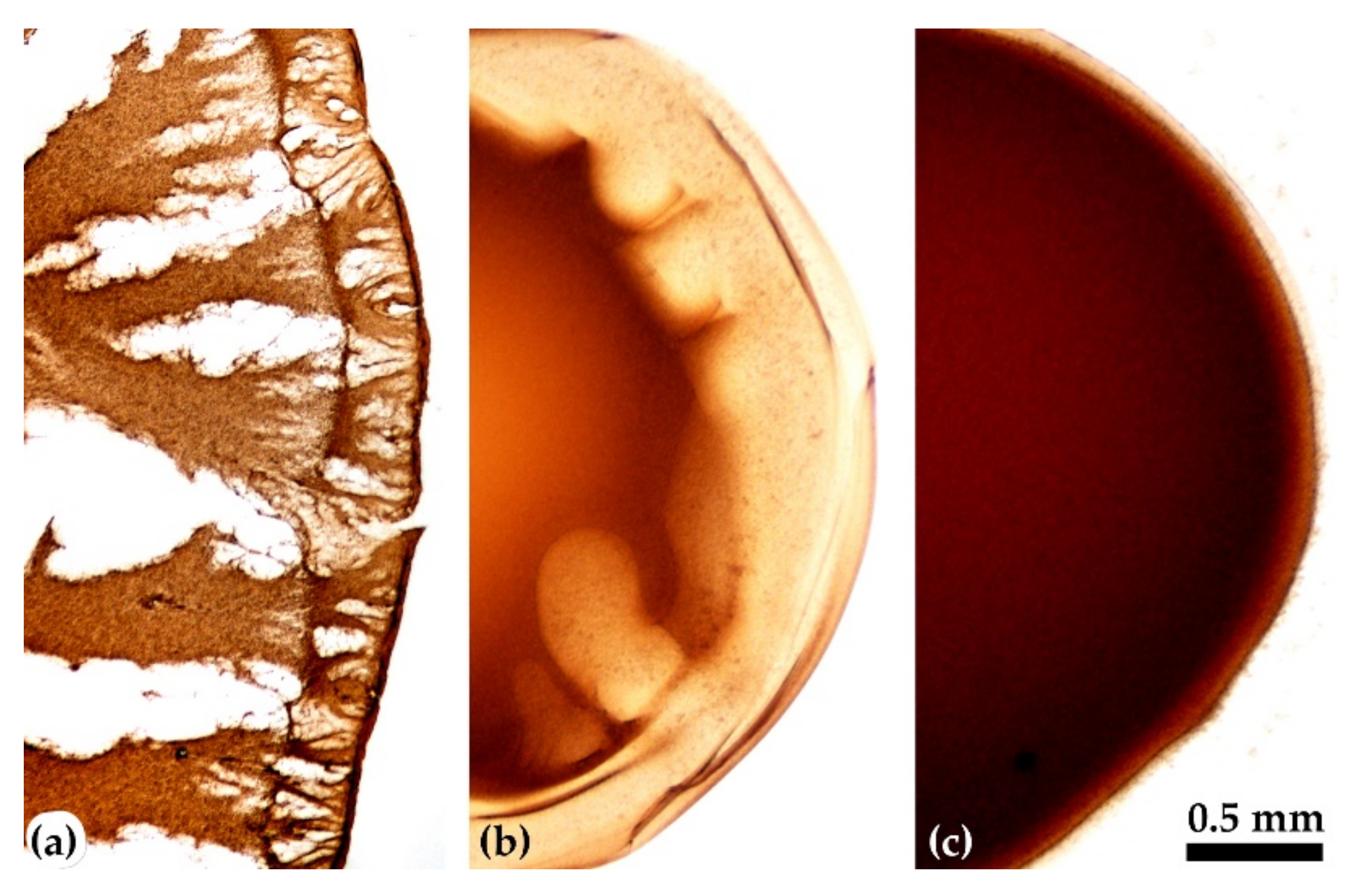 Materials 15 00808 g014