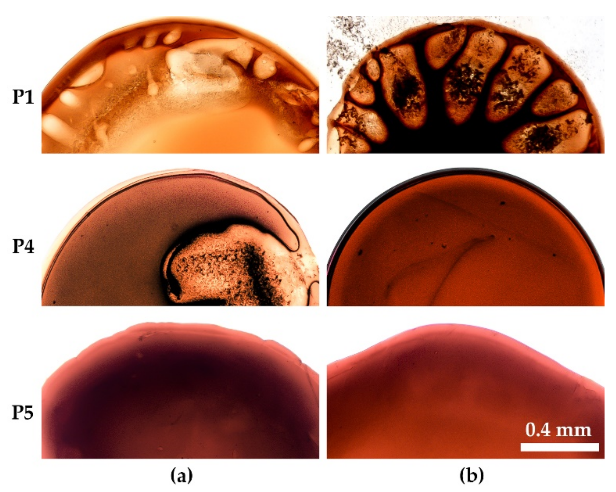 Materials 15 00808 g015