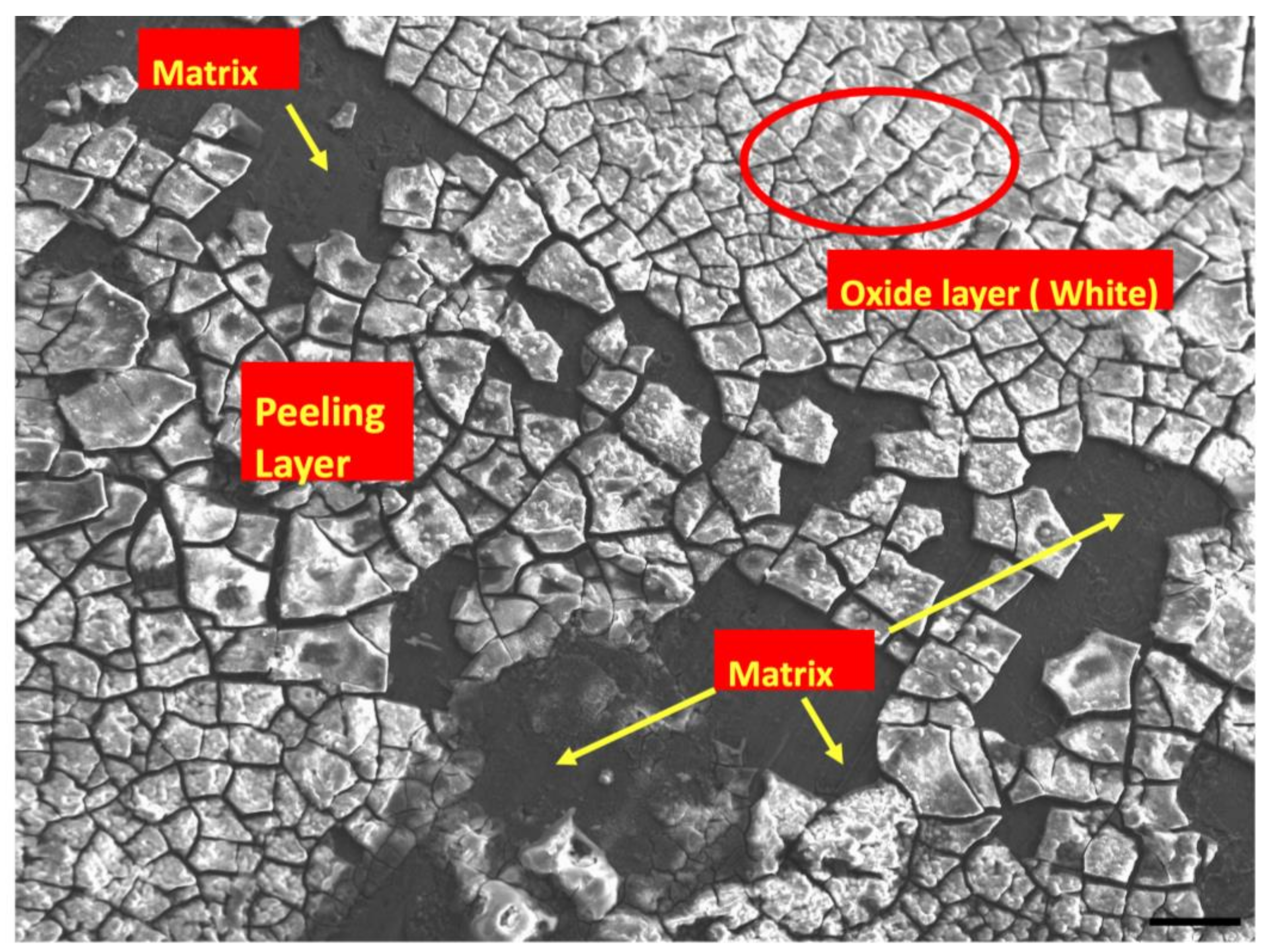 Materials 15 00810 g004