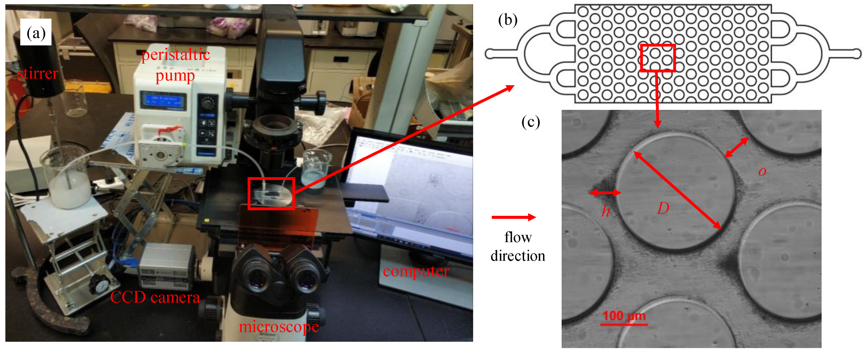 Materials 15 00855 g002