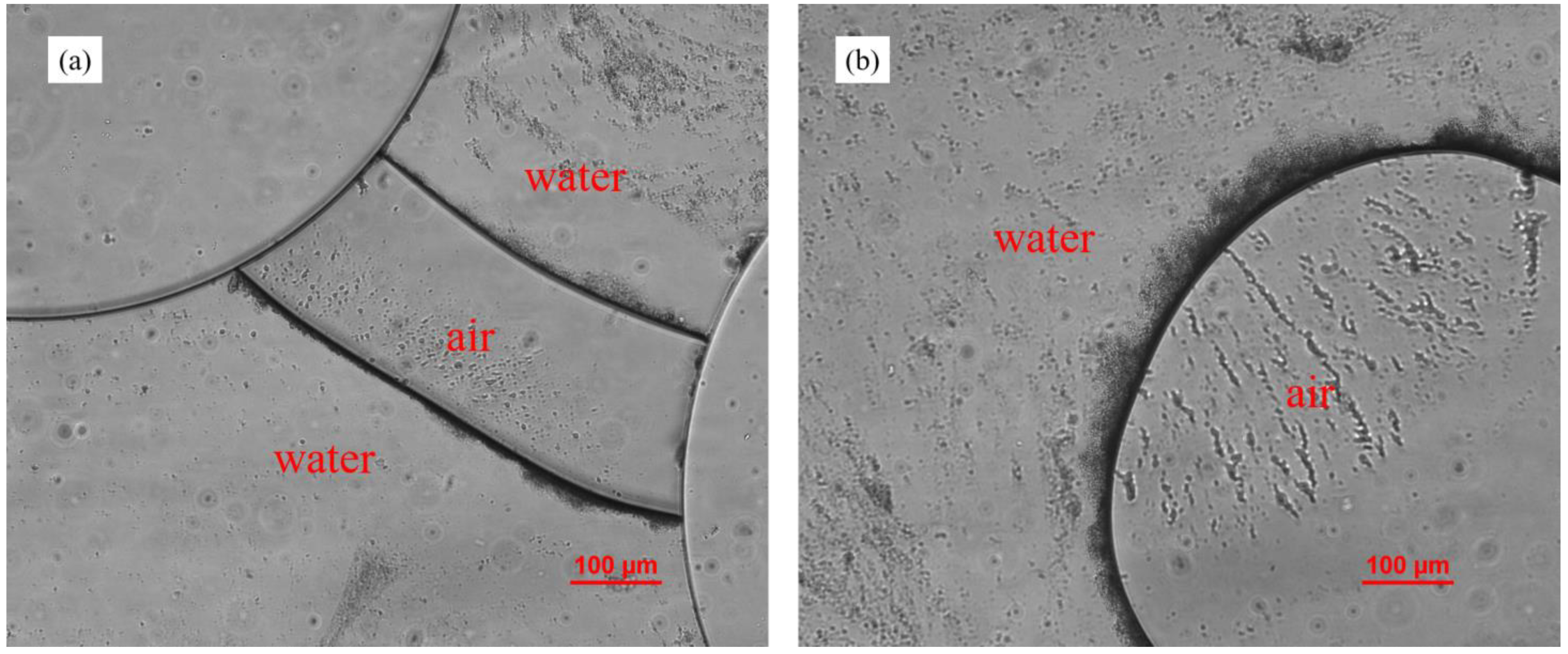 Materials 15 00855 g009