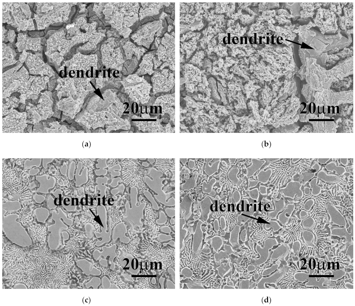 Materials 15 00888 g008