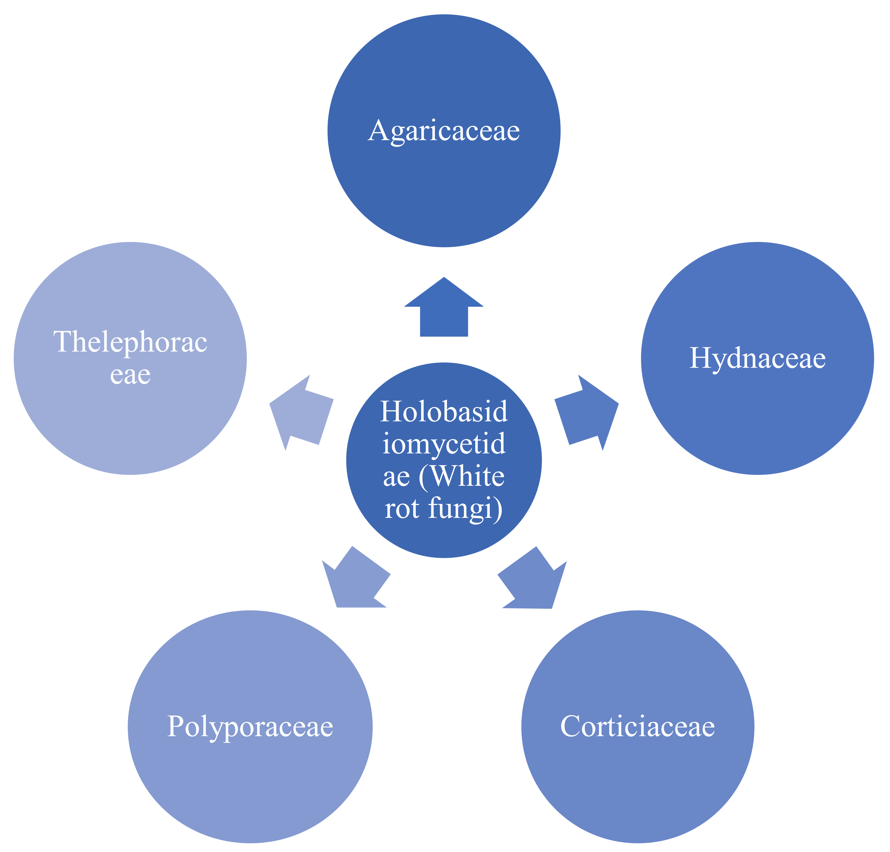 Materials 15 00953 g007 Materials 15 00953 g007