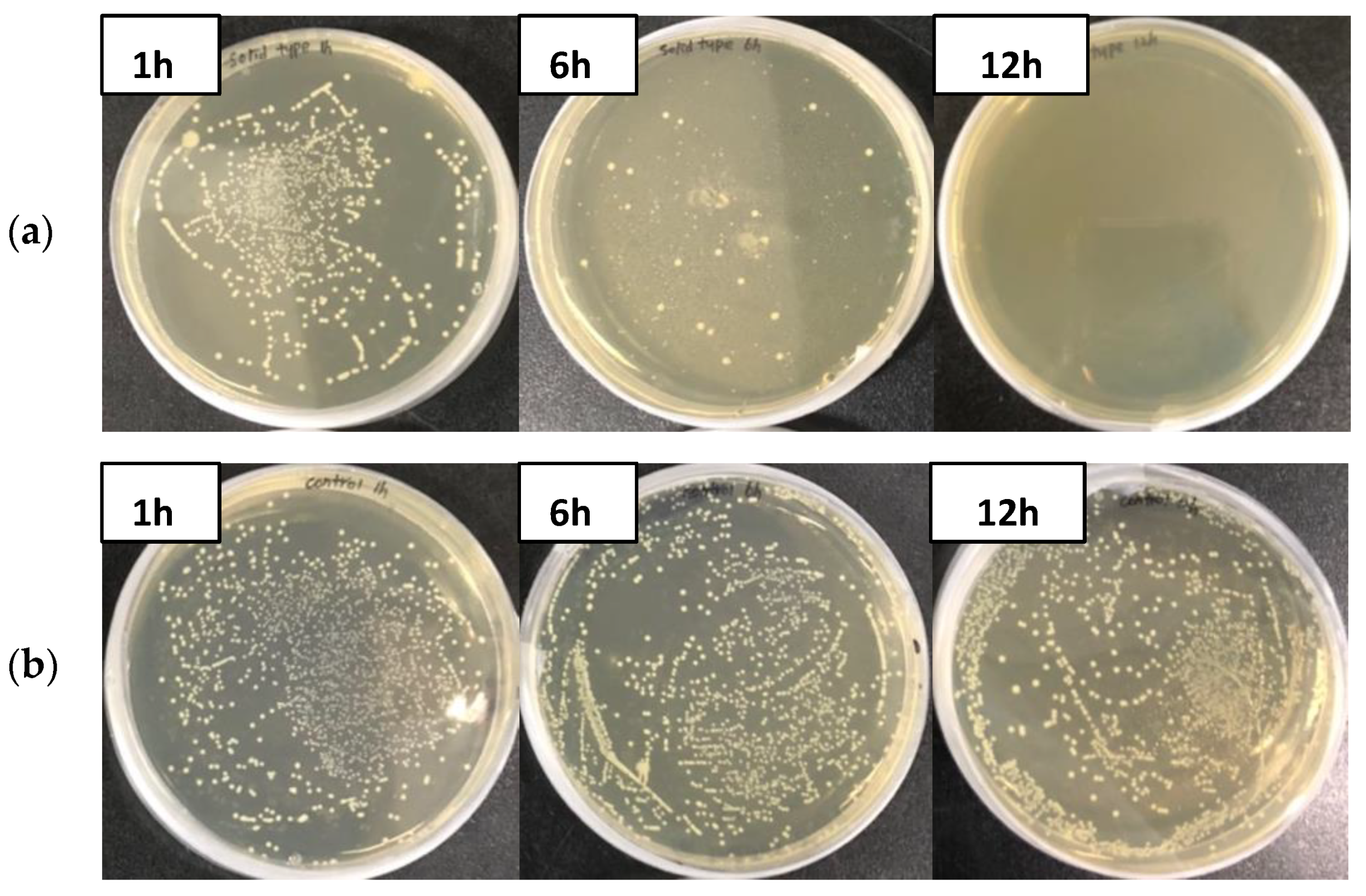 Materials 15 00966 g005