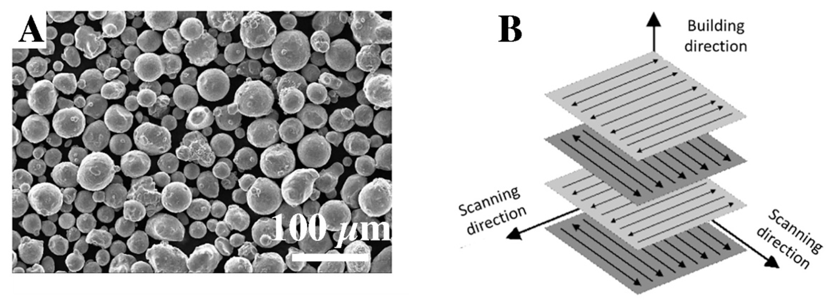 Materials | Free Full-Text | Effect of Multi-Variant Thermal Treatment on  Microstructure Evolution and Mechanical Properties of AlSi10Mg Processed by  Direct Metal Laser Sintering and Casting