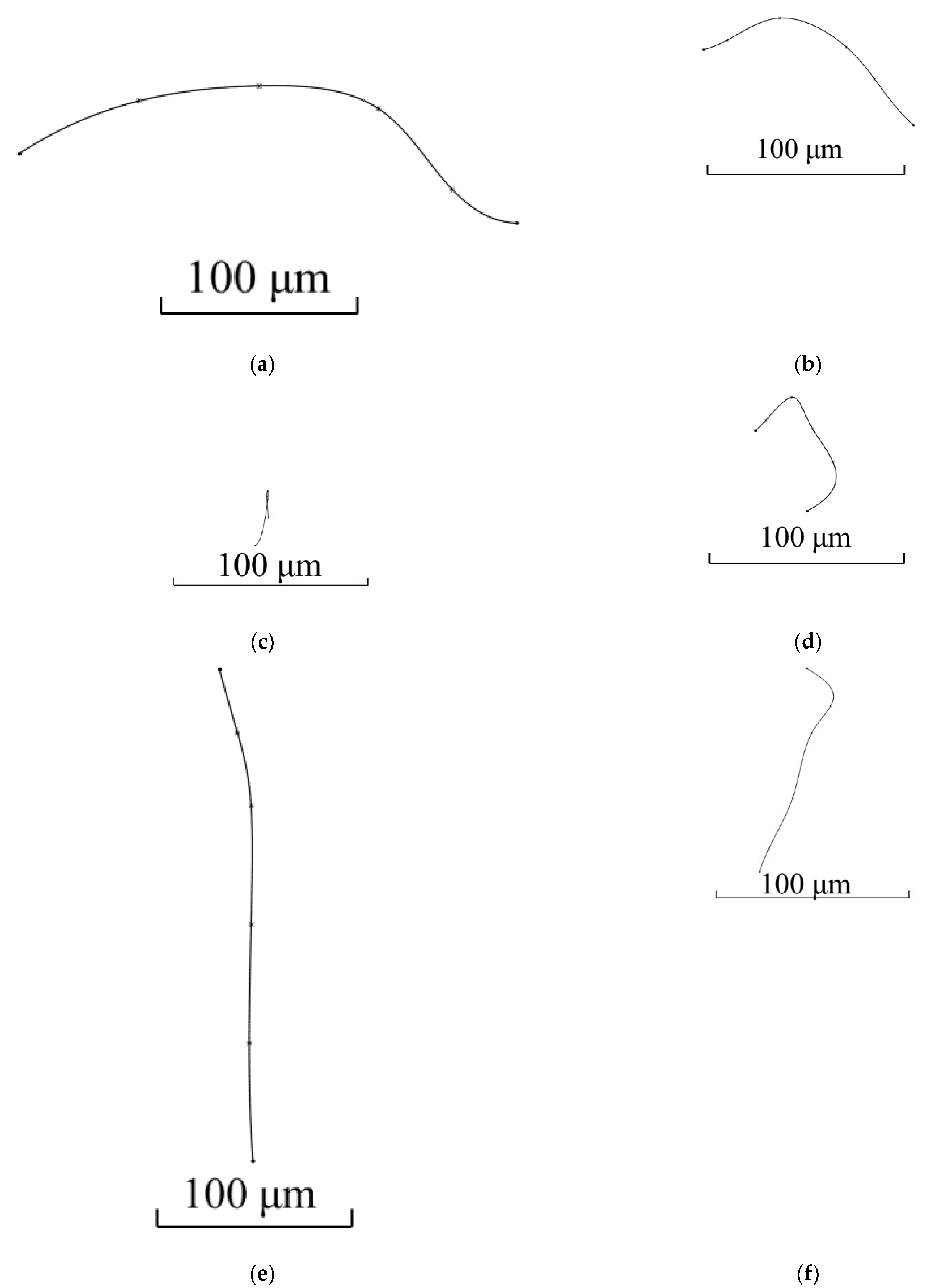 Materials 15 00995 g010