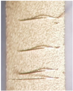 Materials 15 01036 i010