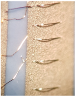 Materials 15 01036 i013