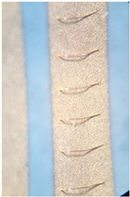 Materials 15 01036 i015