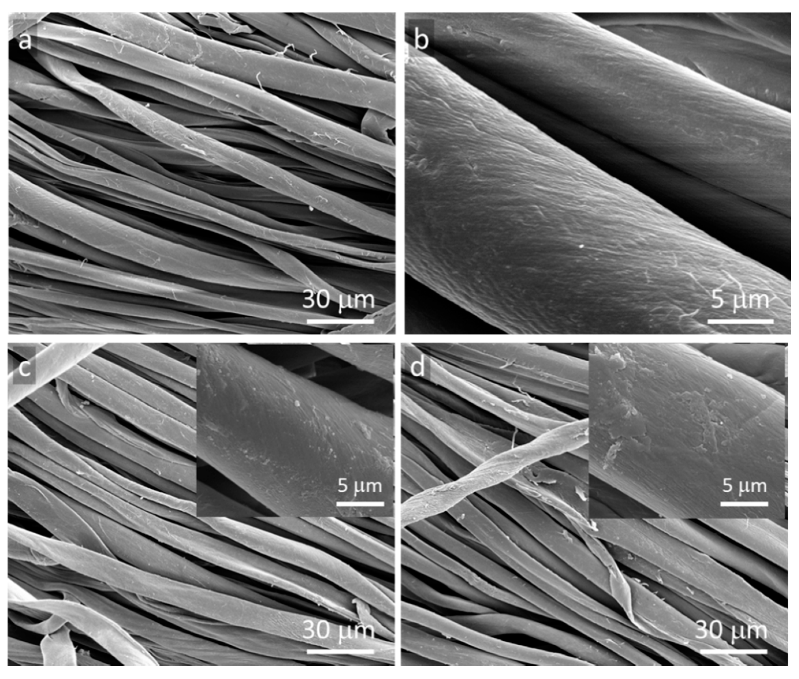 Materials | Free Full-Text | Antibacterial Electroconductive Composite  Coating of Cotton Fabric
