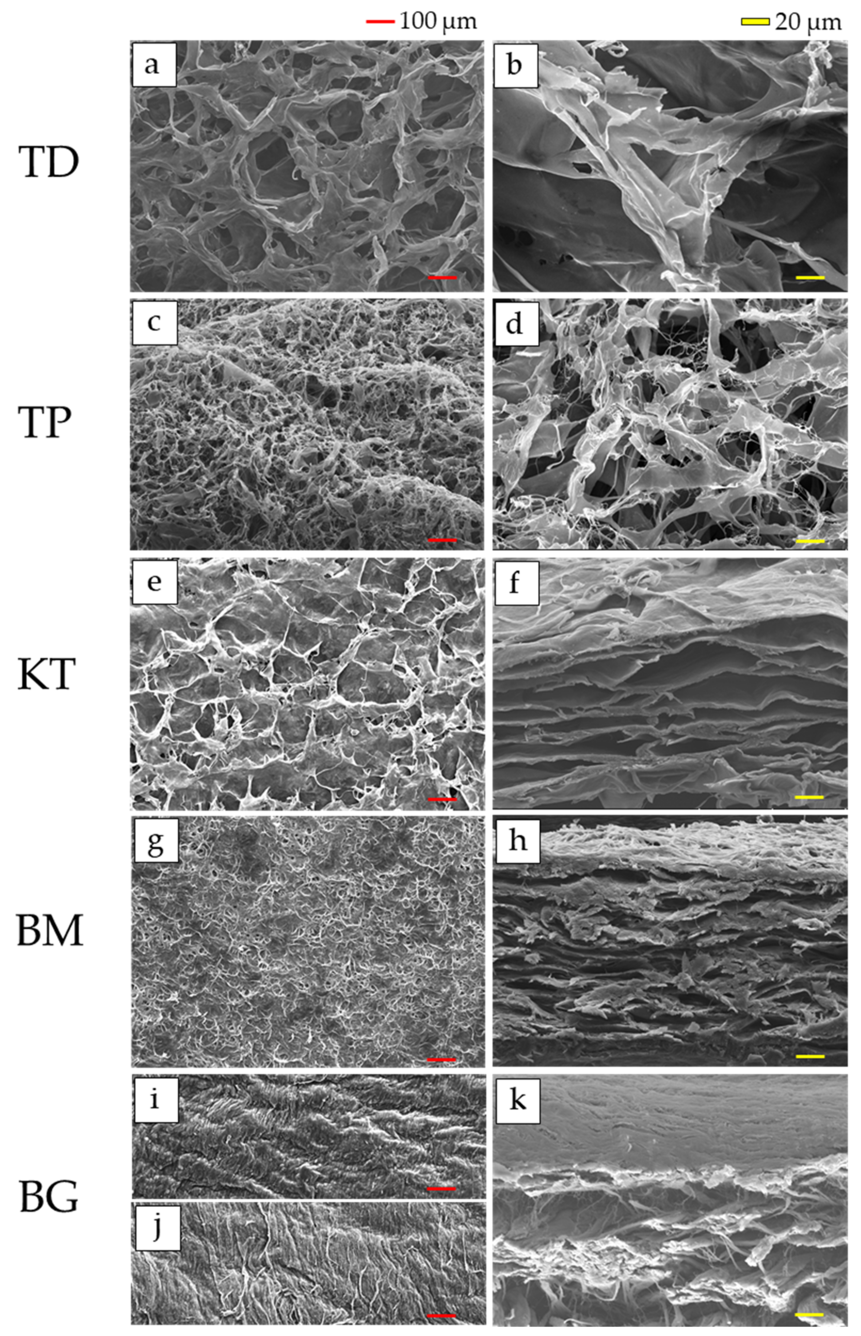 Materials 15 01155 g001