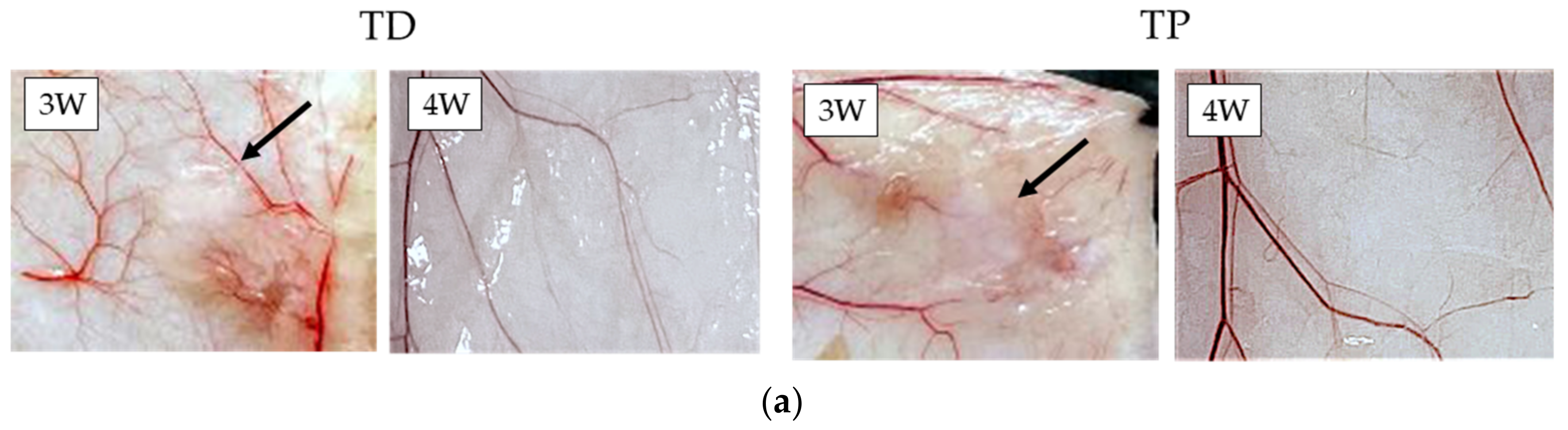 Materials 15 01155 g004a