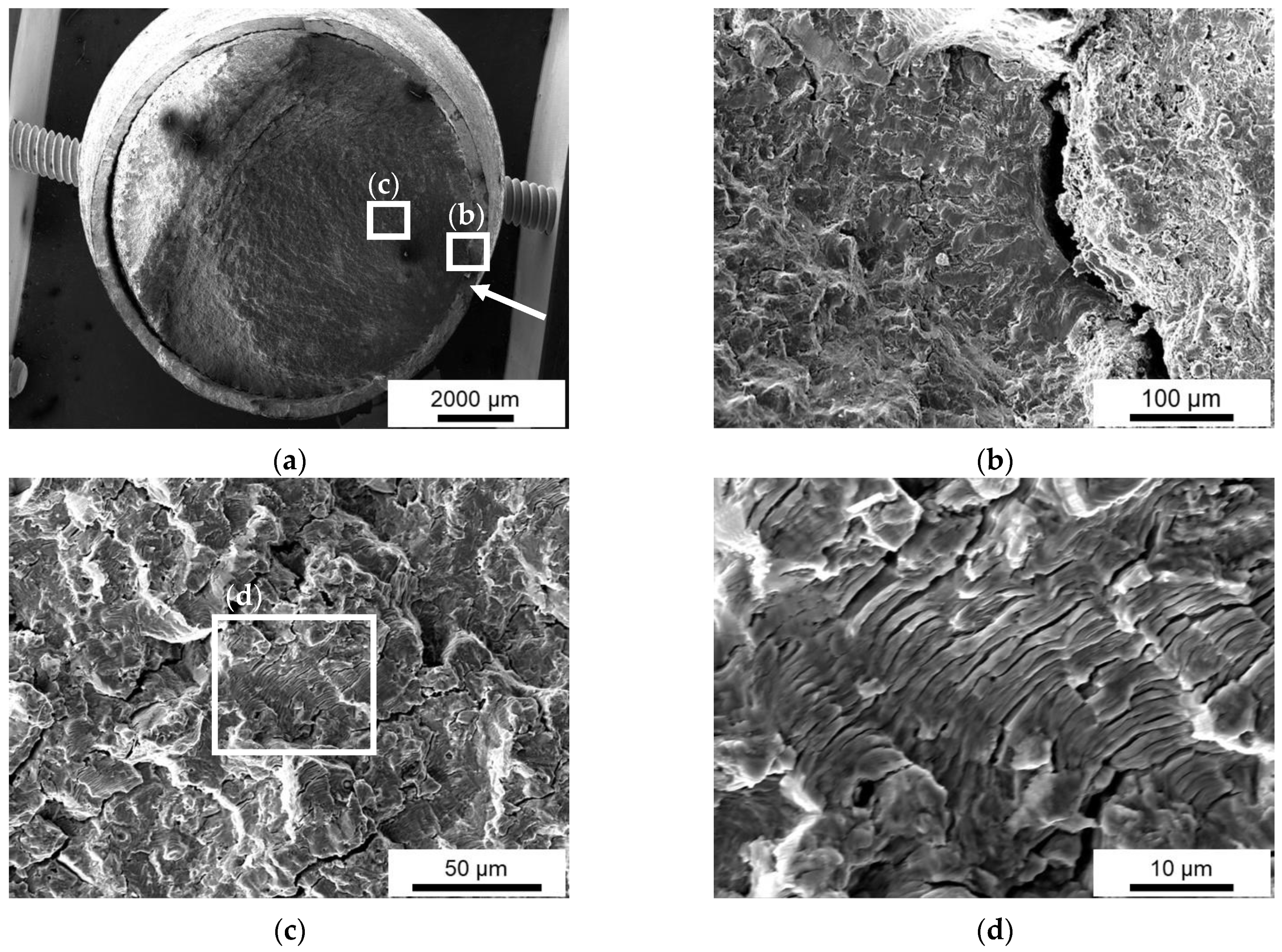 Materials 15 01182 g018