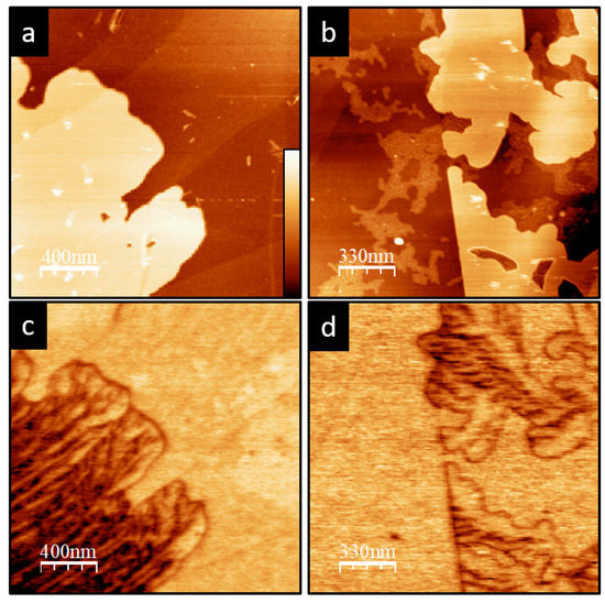 Materials Free Full Text Kelvin Probe Microscopy Investigation Of Poly Octylthiophene Aggregates Html