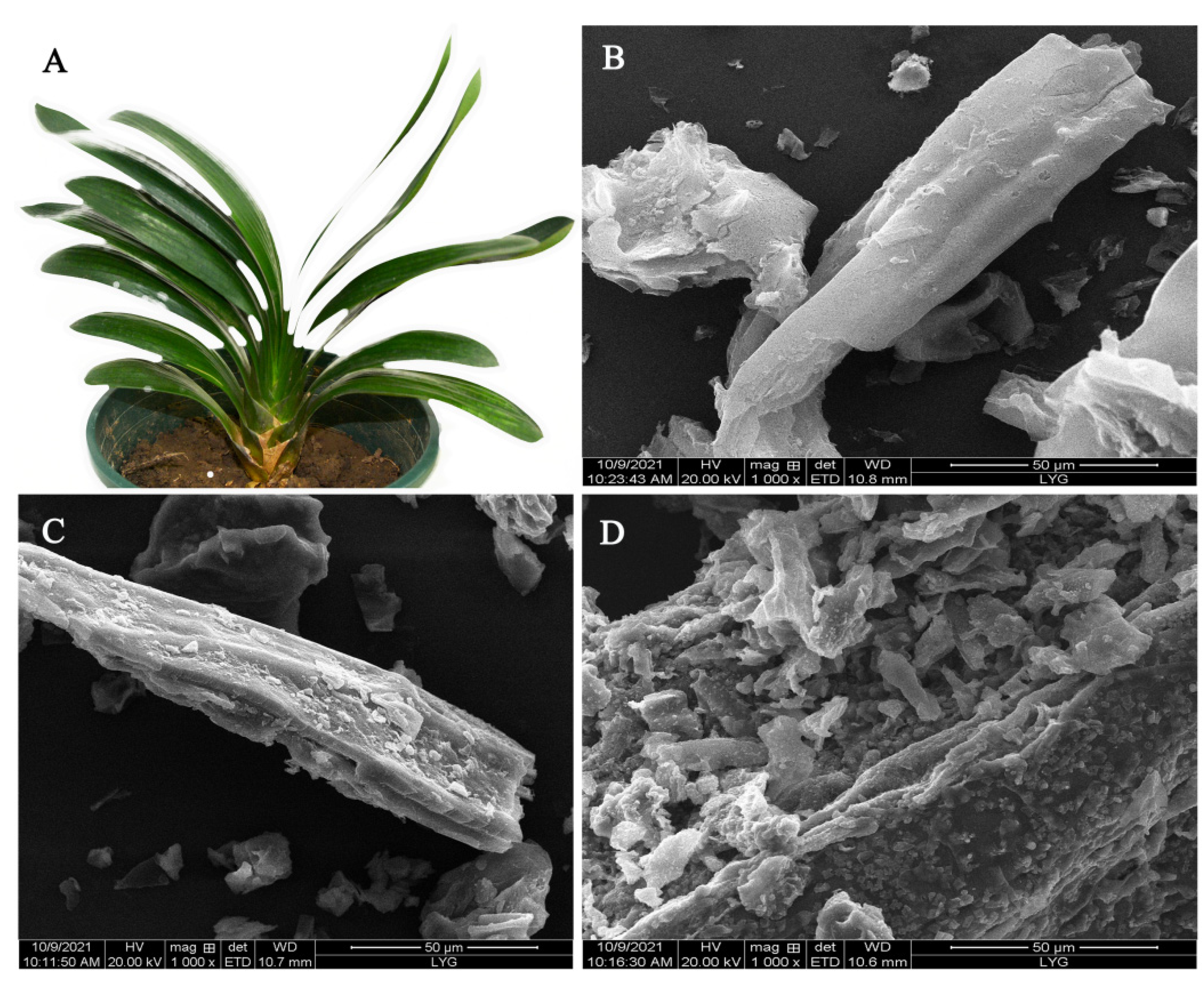 Materials 15 01285 g001