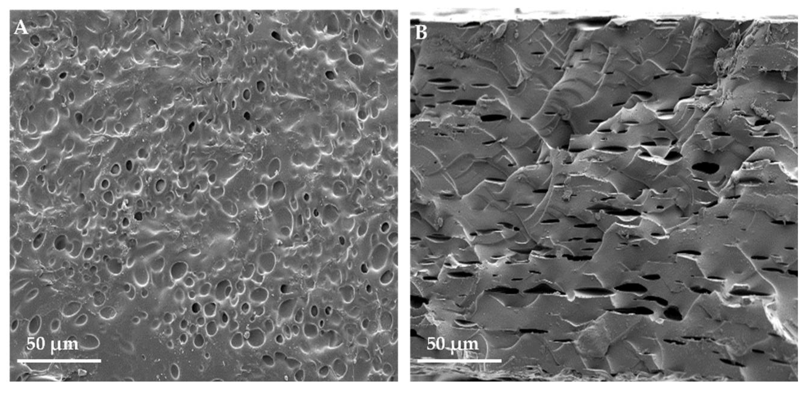 Materials 15 01296 g004 Materials 15 01296 g004