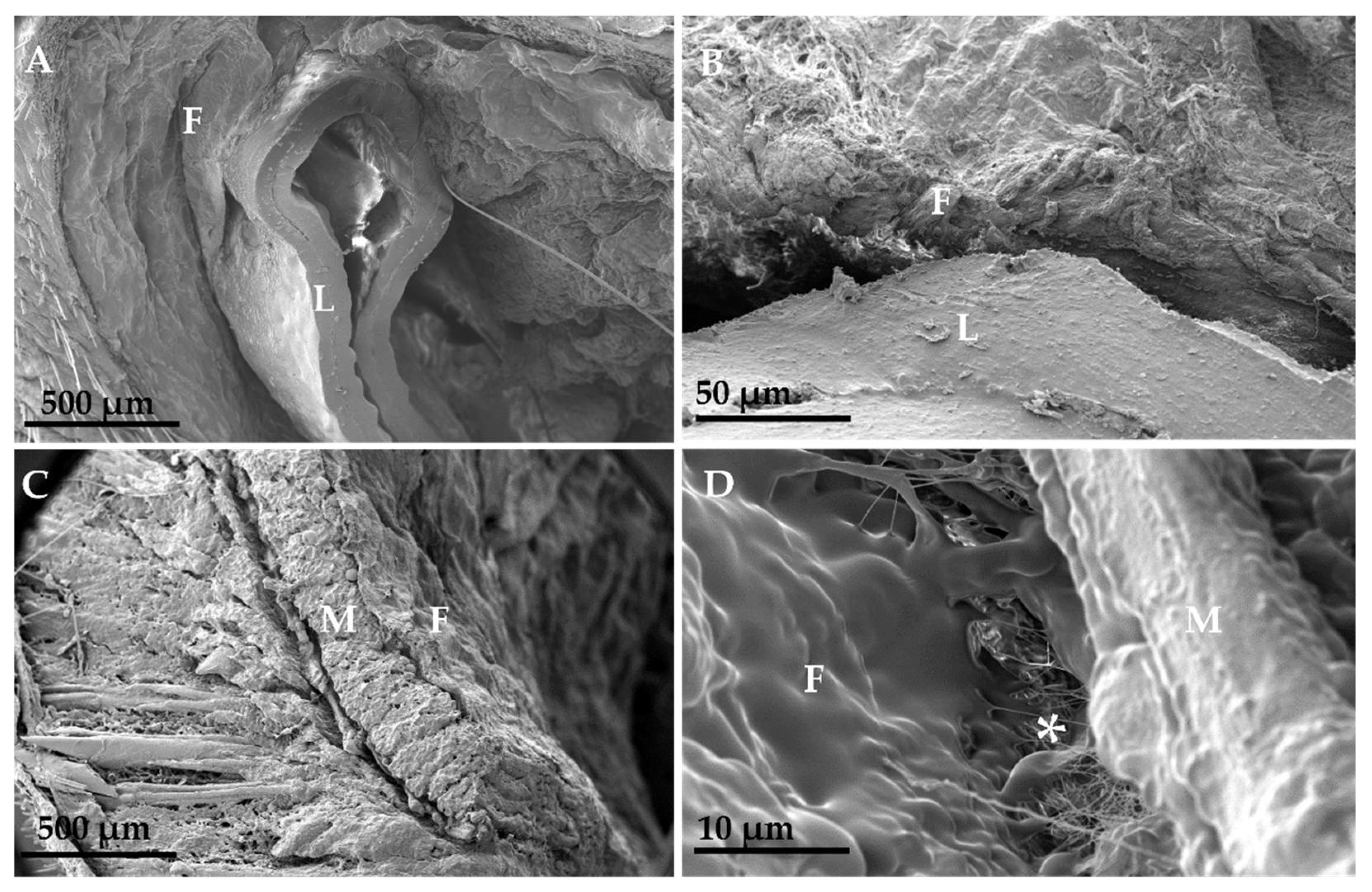 Materials 15 01296 g005 Materials 15 01296 g005