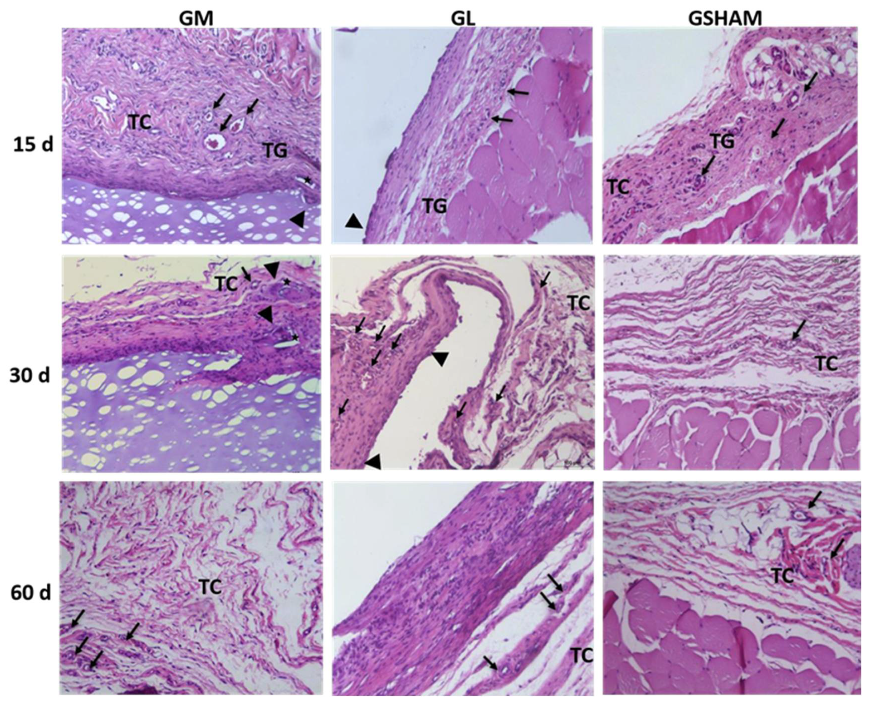 Materials 15 01296 g006 Materials 15 01296 g006