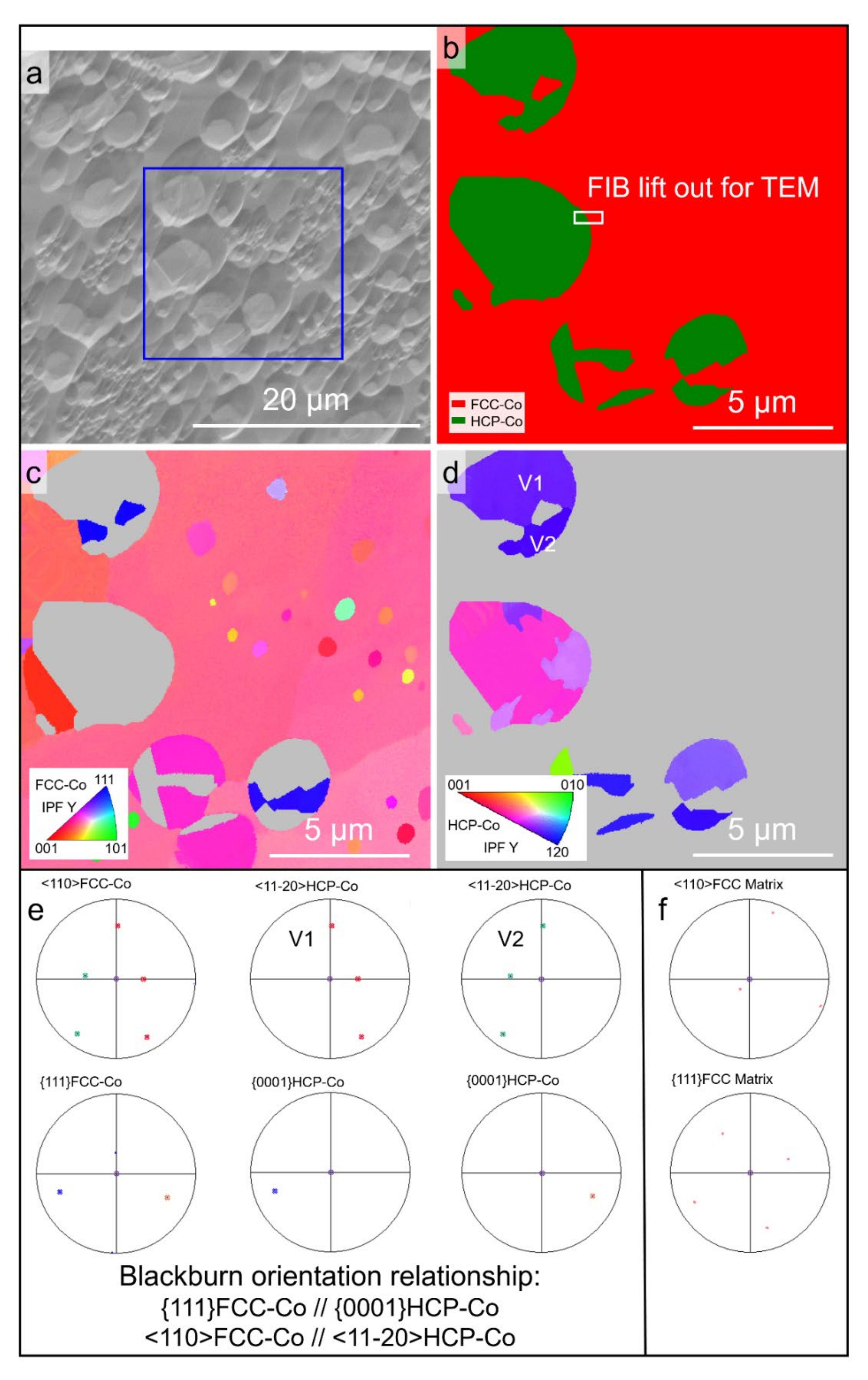 Materials 15 01315 g008