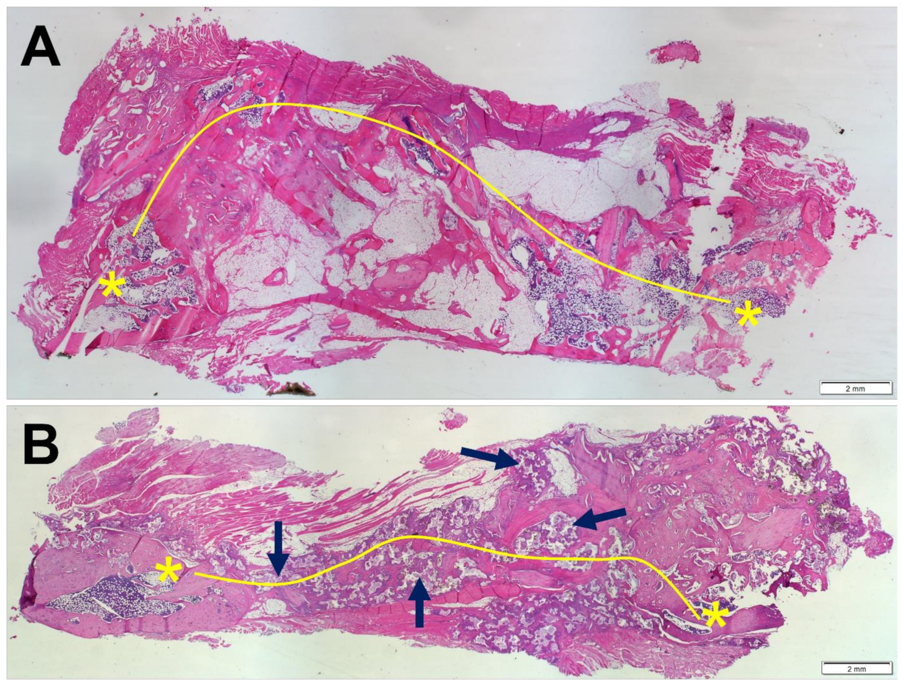 Materials 15 01346 g006