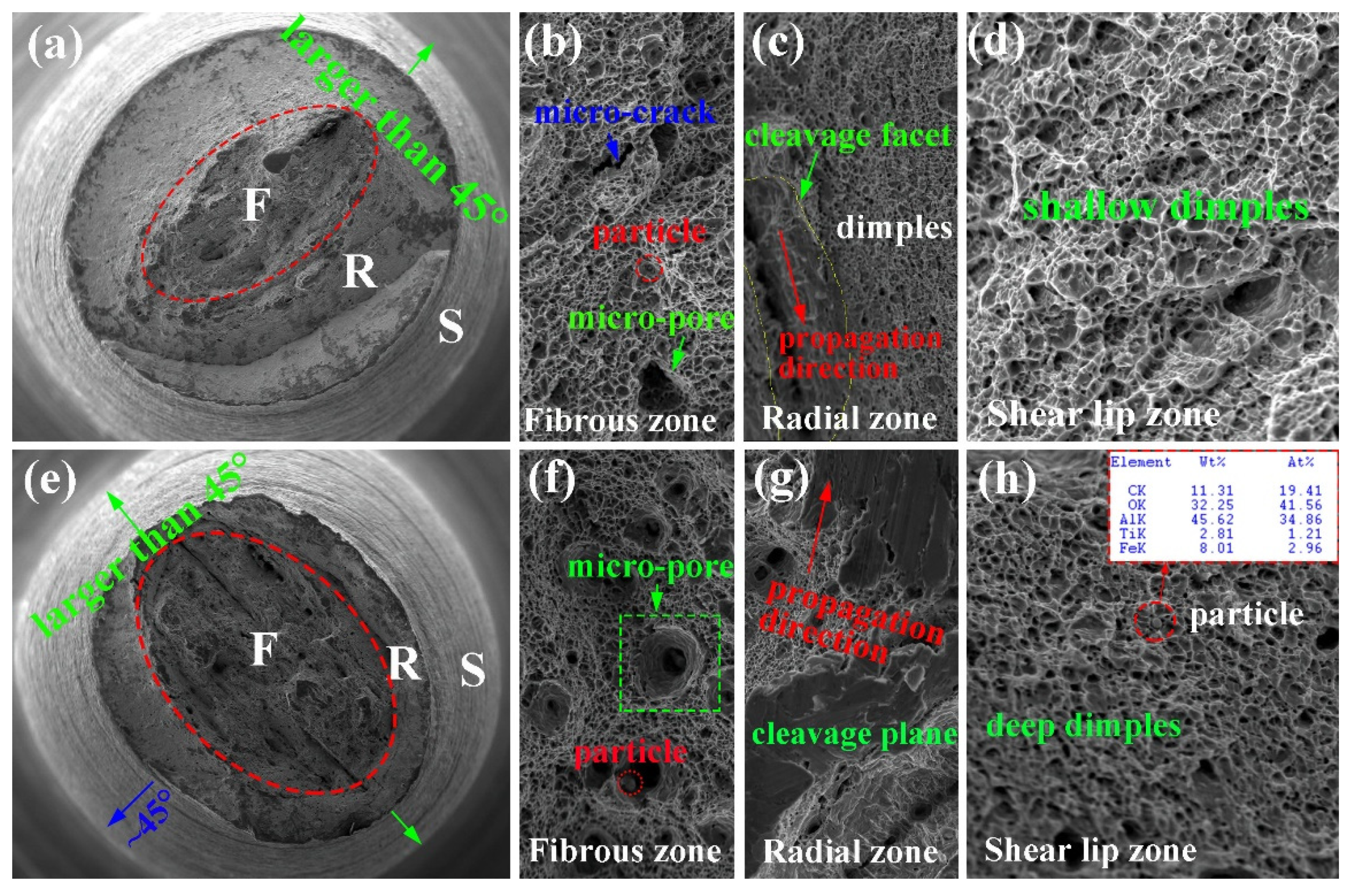 Materials 15 01385 g006