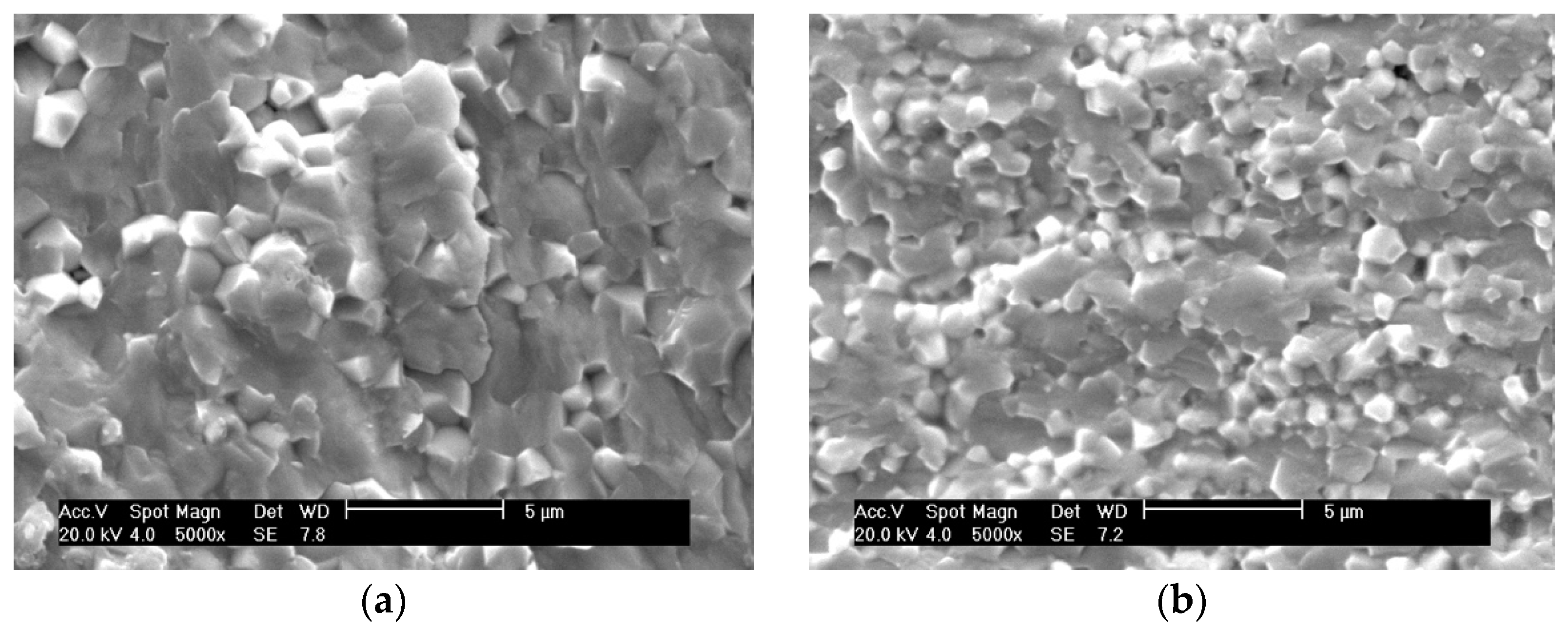 Materials 15 01389 g005a Materials 15 01389 g005a