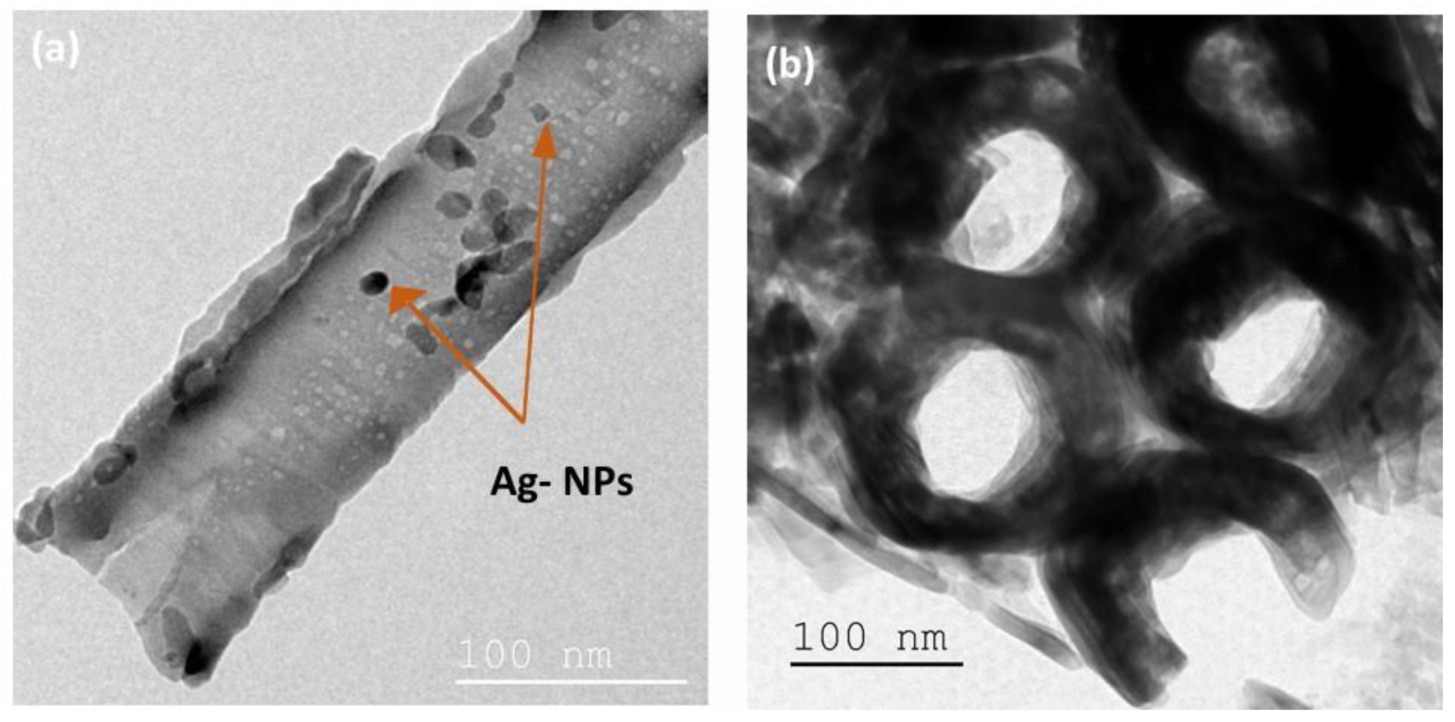 Materials 15 01463 g004