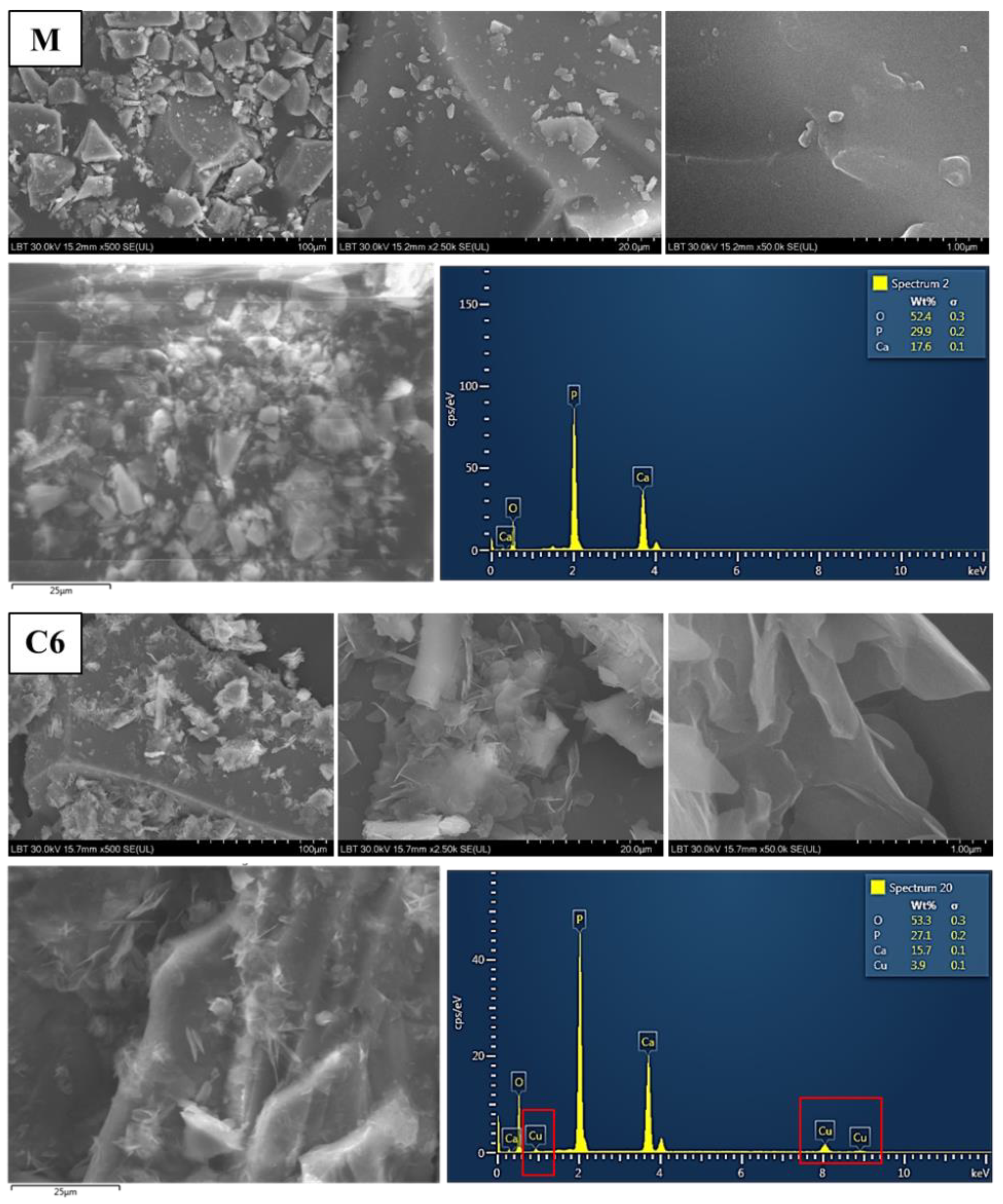 Materials 15 01526 g004