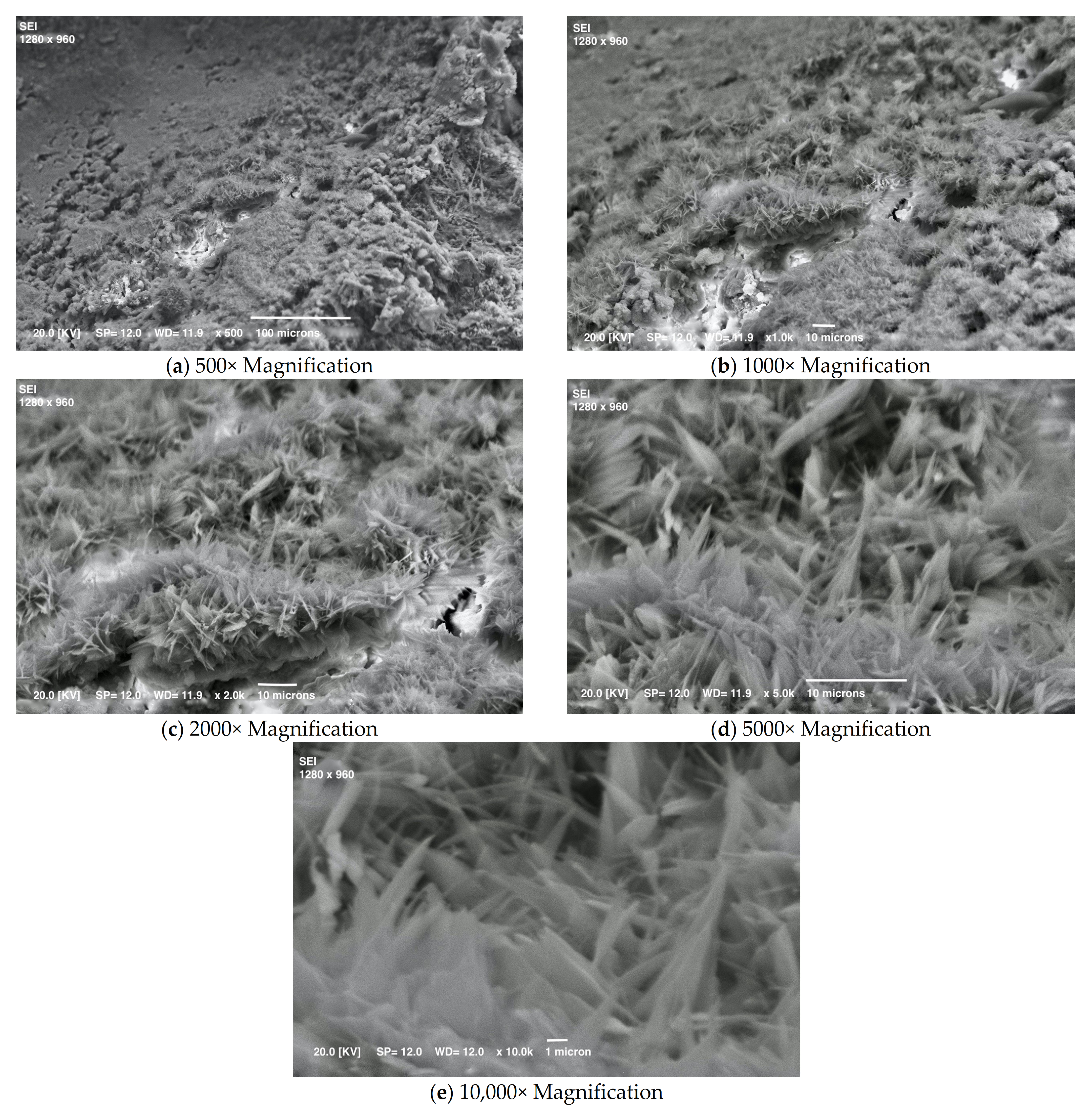 Materials 15 01542 g004