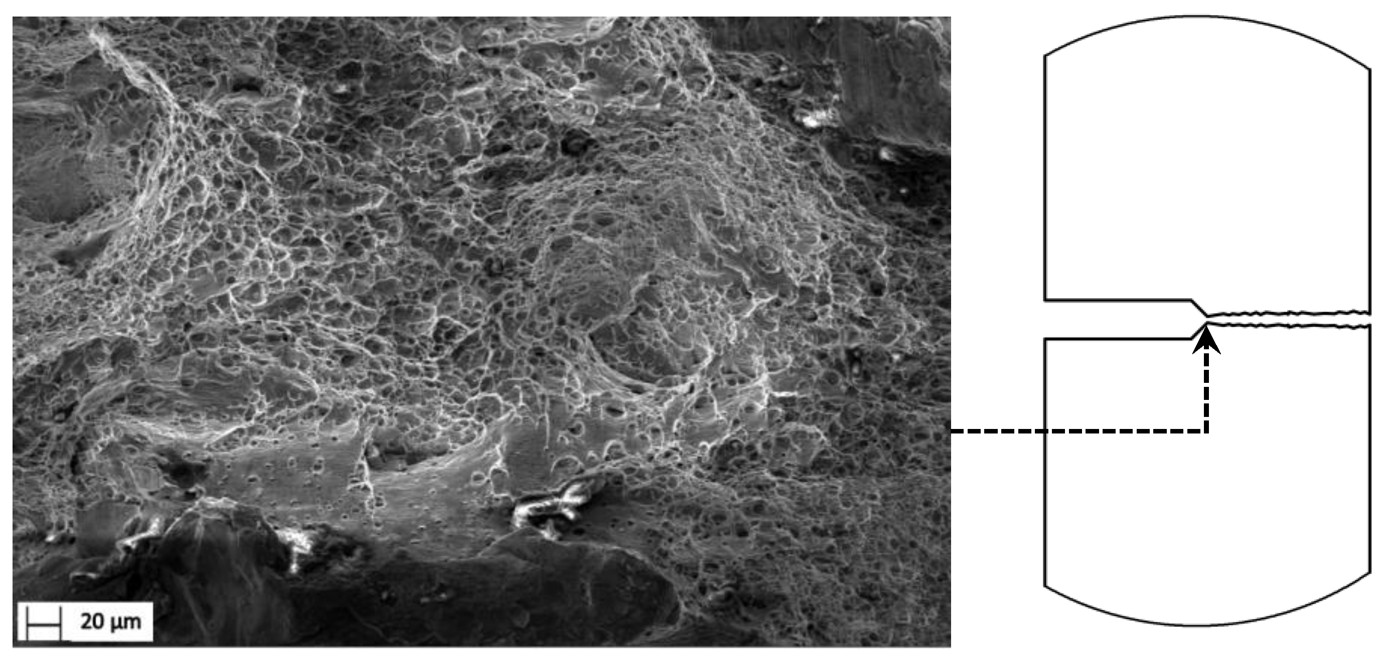 Materials 15 01546 g011