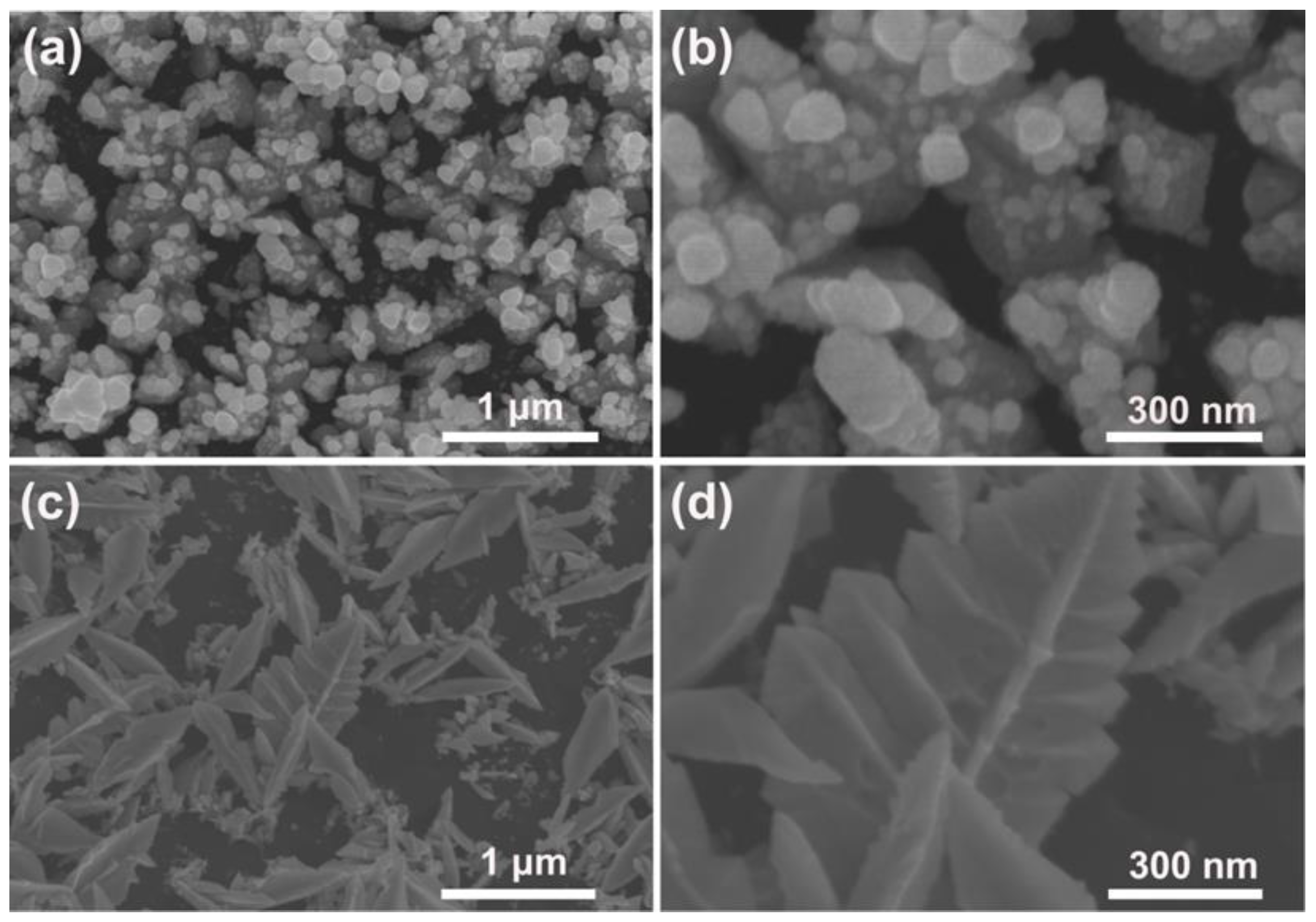 Materials 15 01554 g002