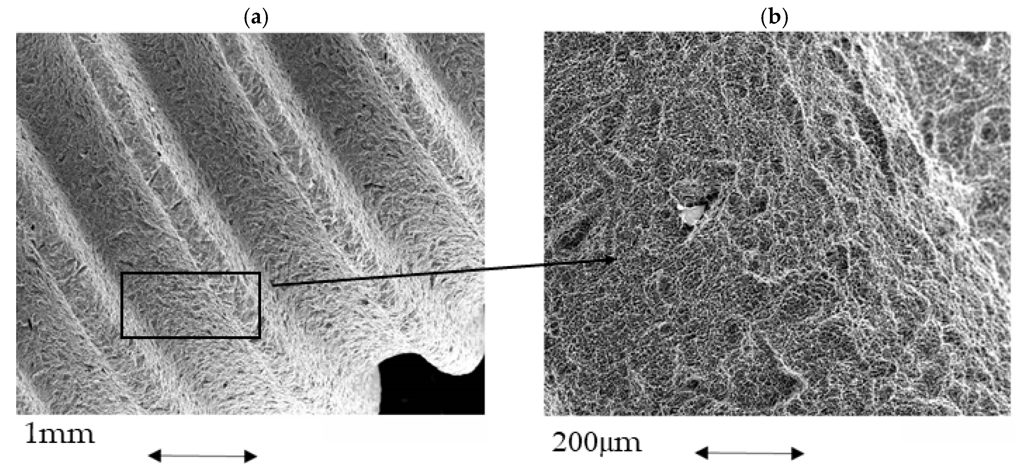 Materials 15 01563 g004