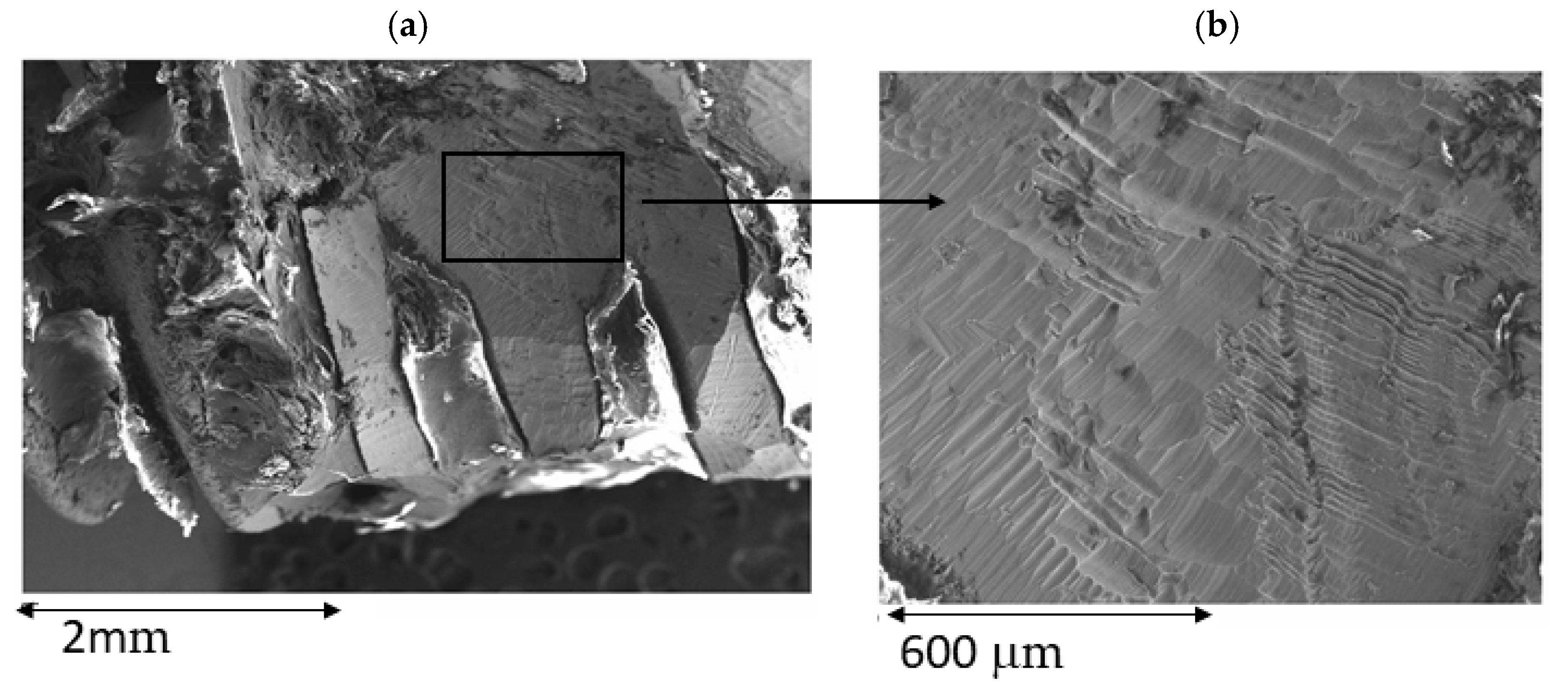 Materials 15 01563 g005