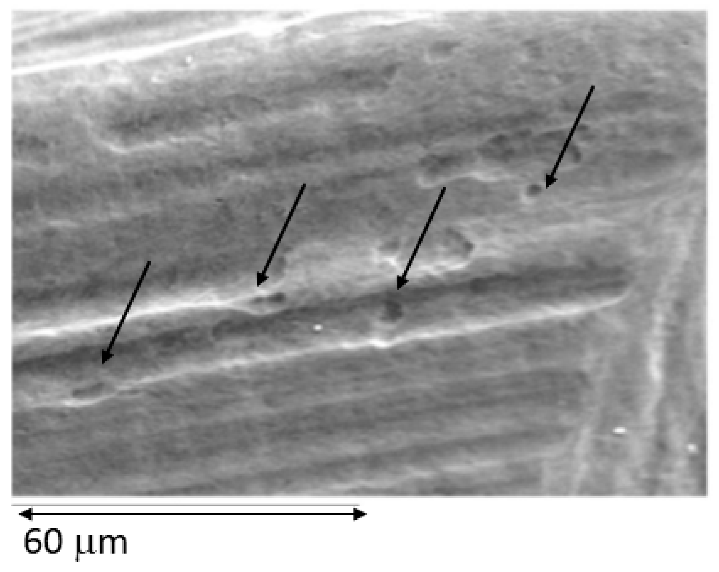 Materials 15 01563 g009