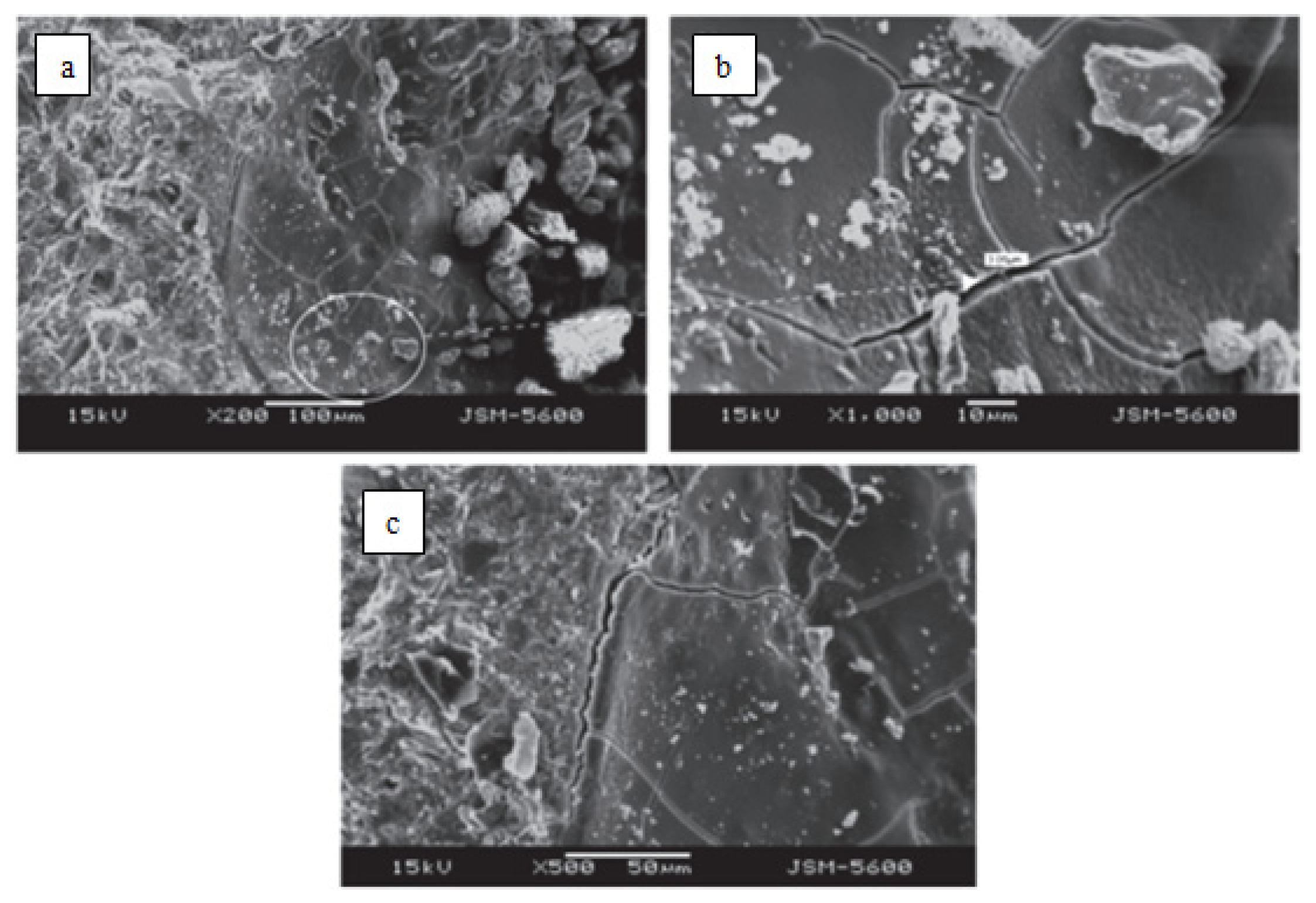 Materials 15 01581 g003