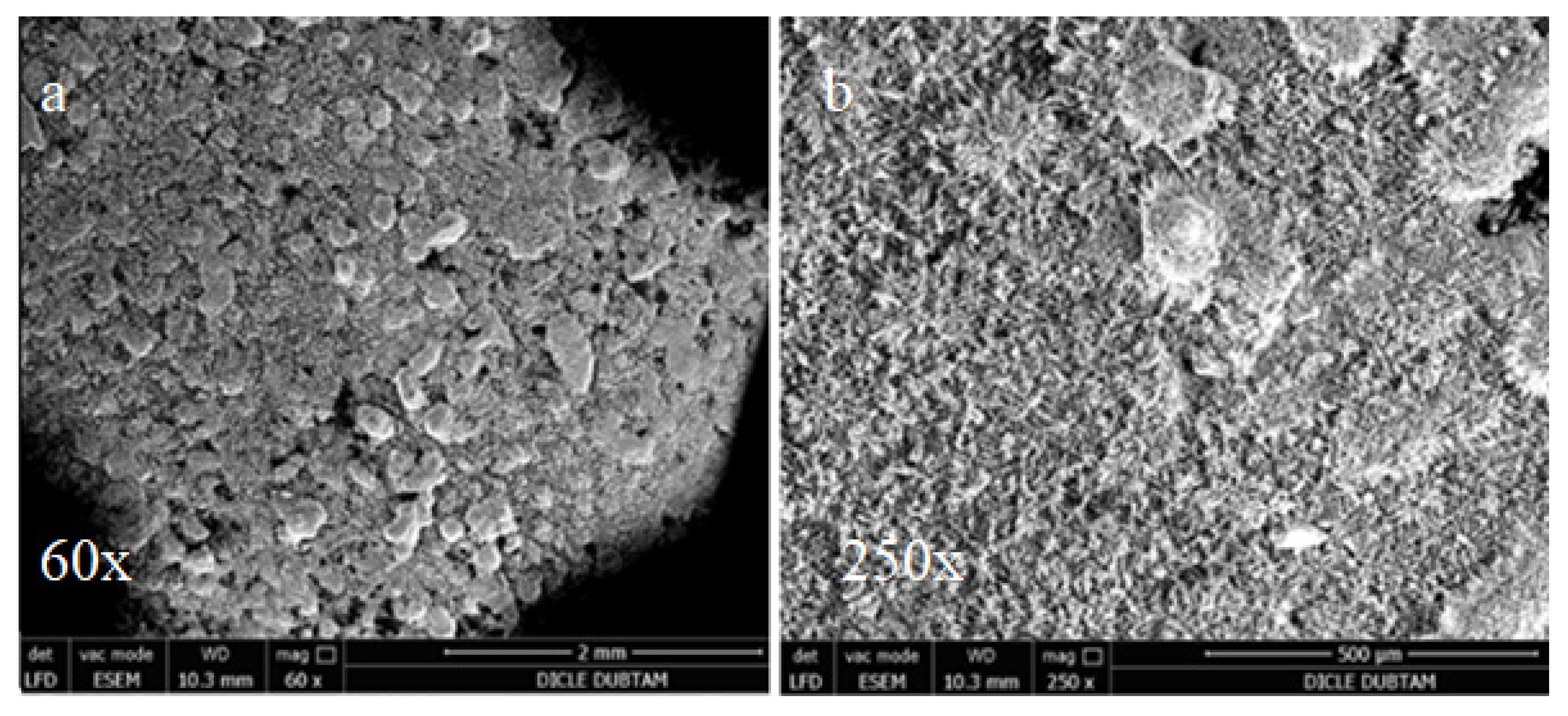 Materials 15 01581 g012