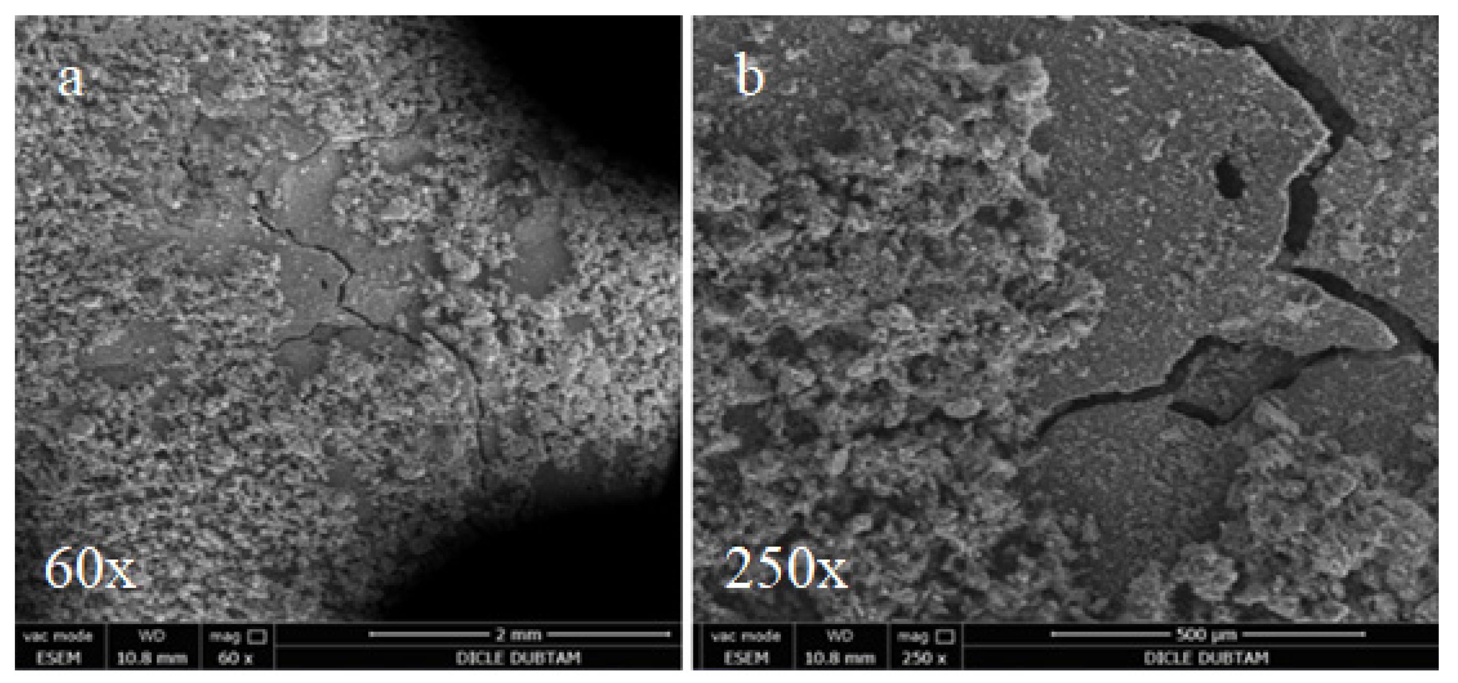 Materials 15 01581 g015