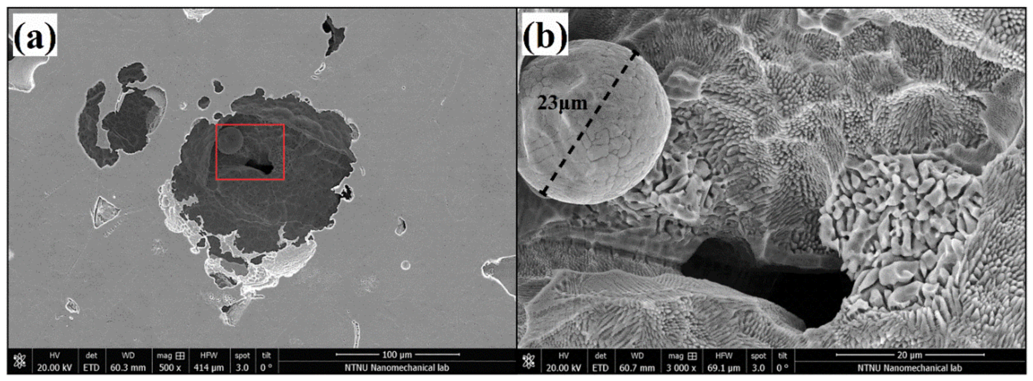 Materials 15 01605 g007