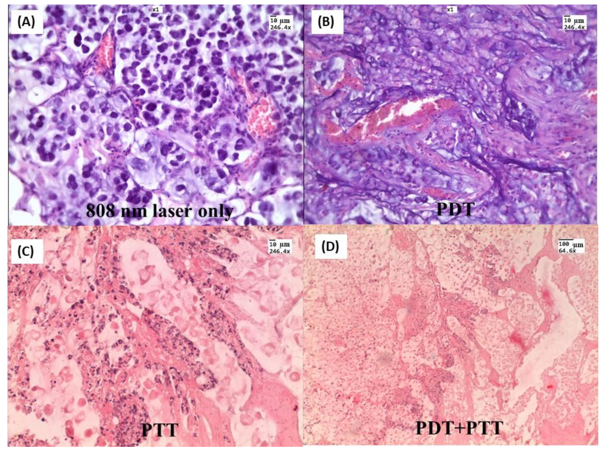 Materials 15 01606 g015