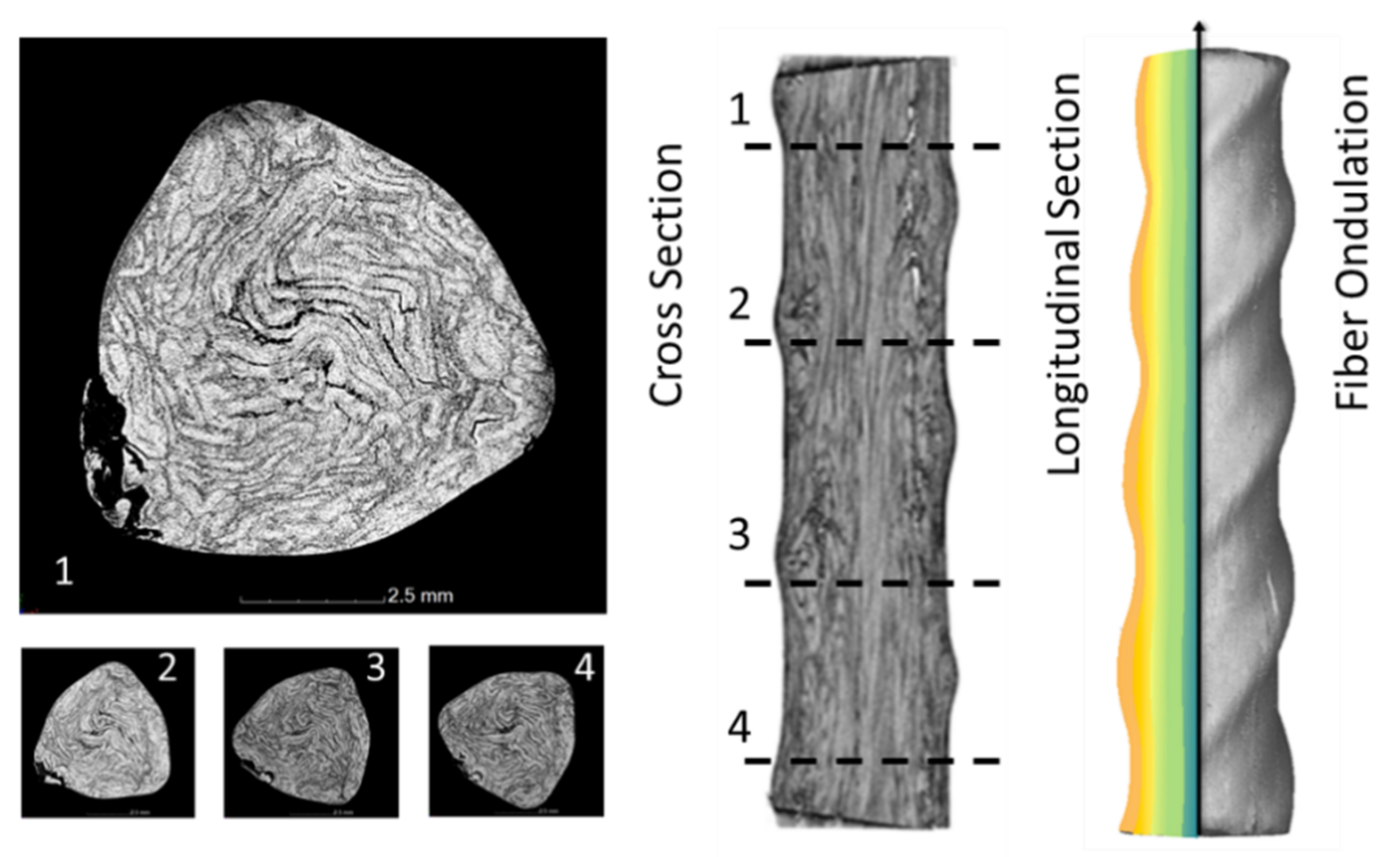 Materials 15 01619 g004