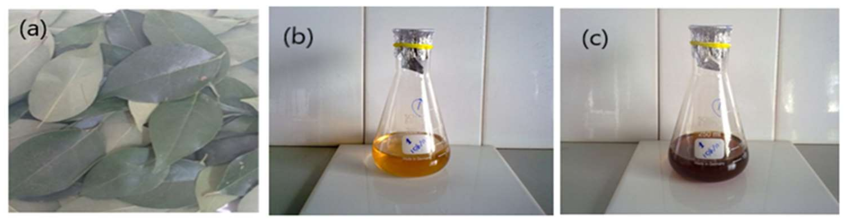 Materials 15 01637 g001