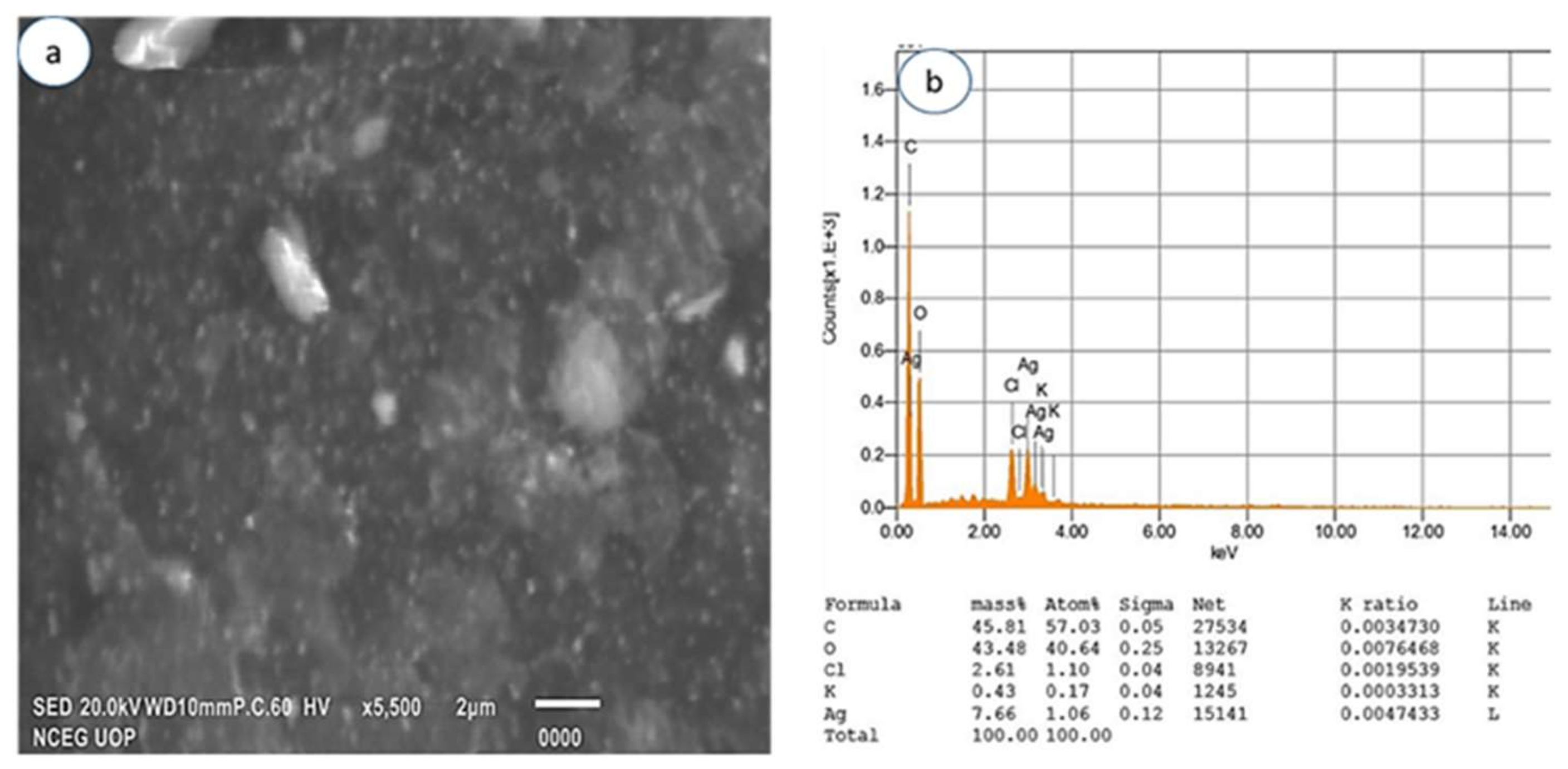 Materials 15 01637 g006