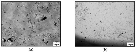 Materials Special Issue Drug Delivery Recent Developments And Future Prospects