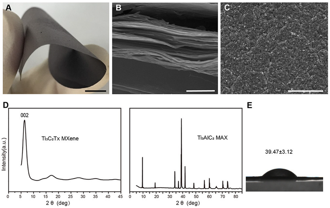 Materials 15 01666 g010