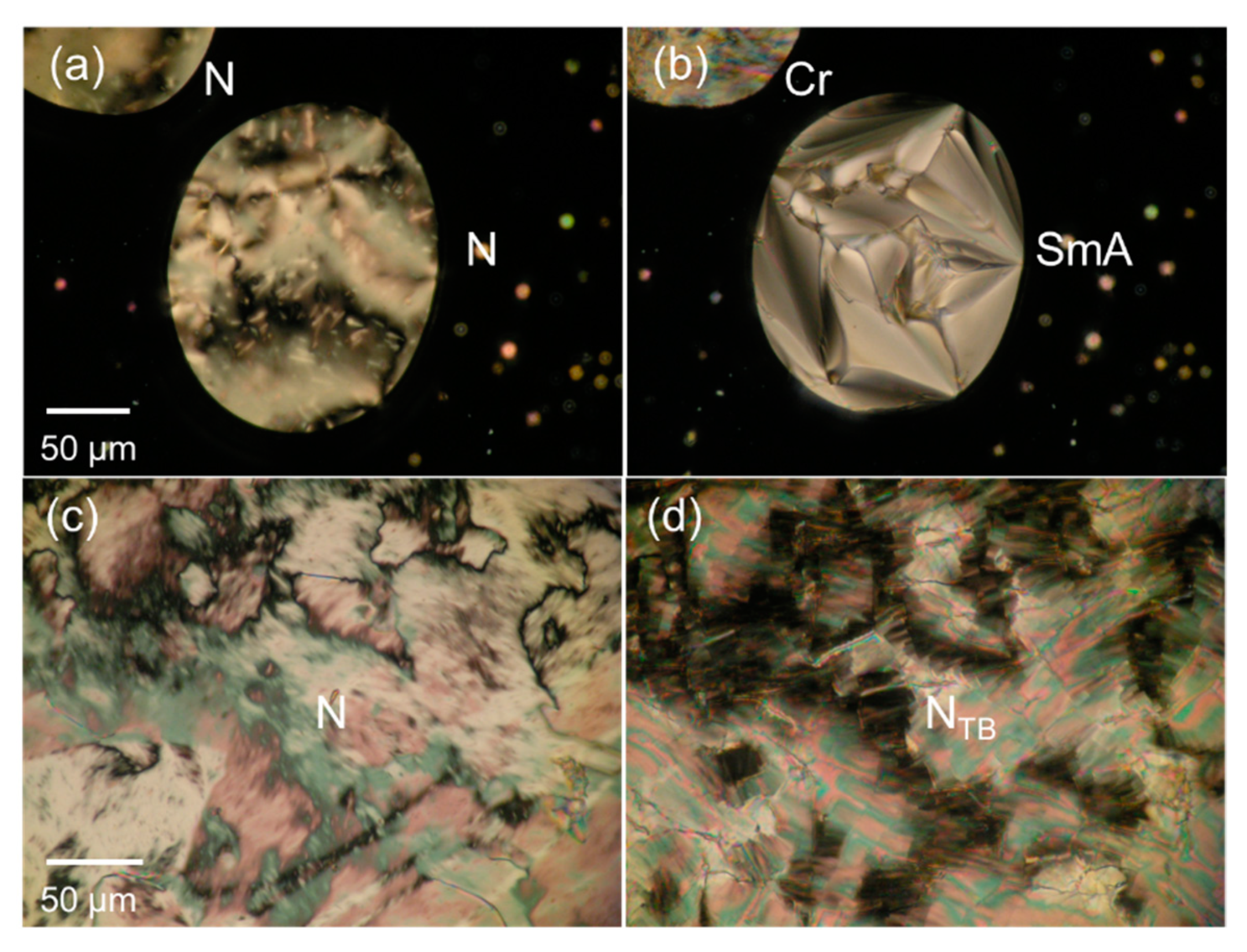 Materials 15 01709 g003