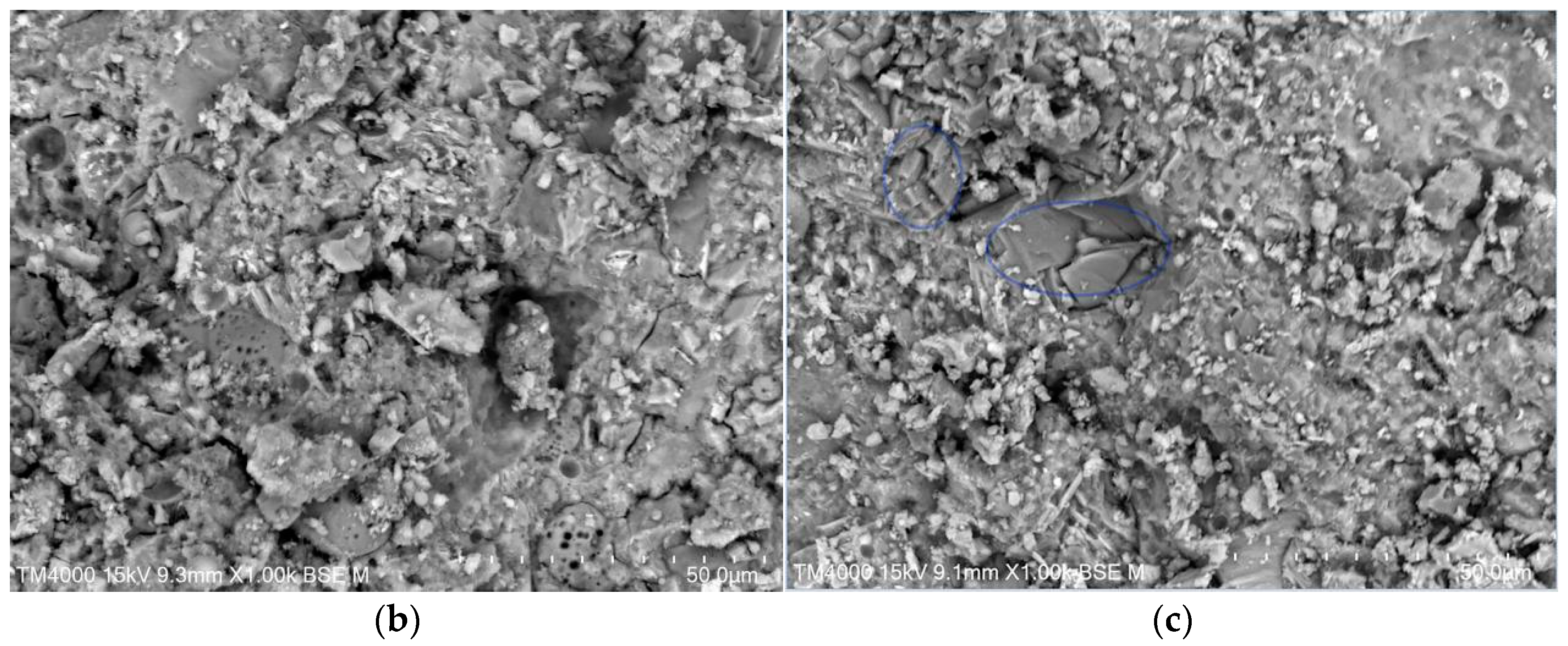 Materials 15 01721 g002b