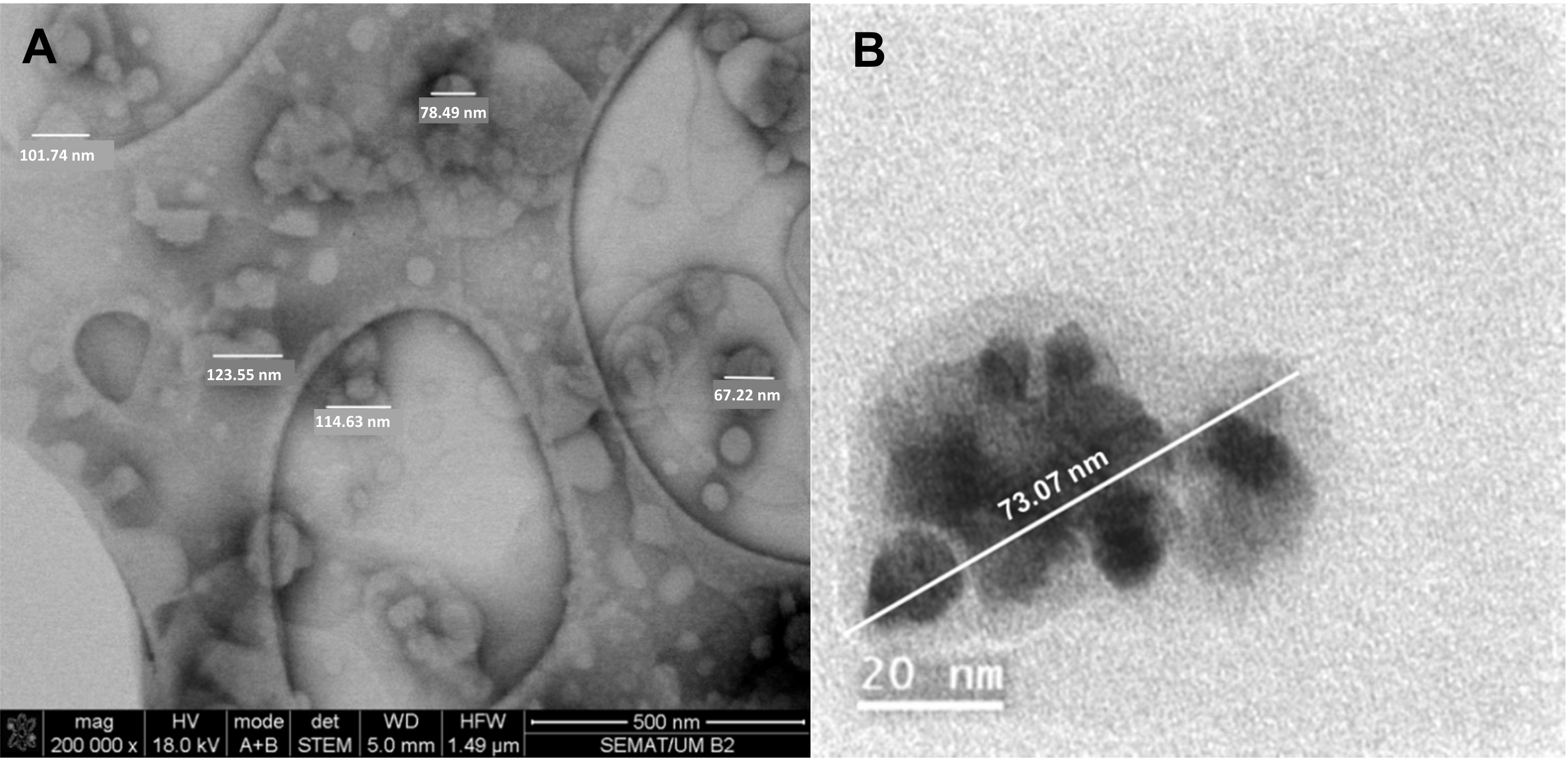 Materials 15 01737 g007