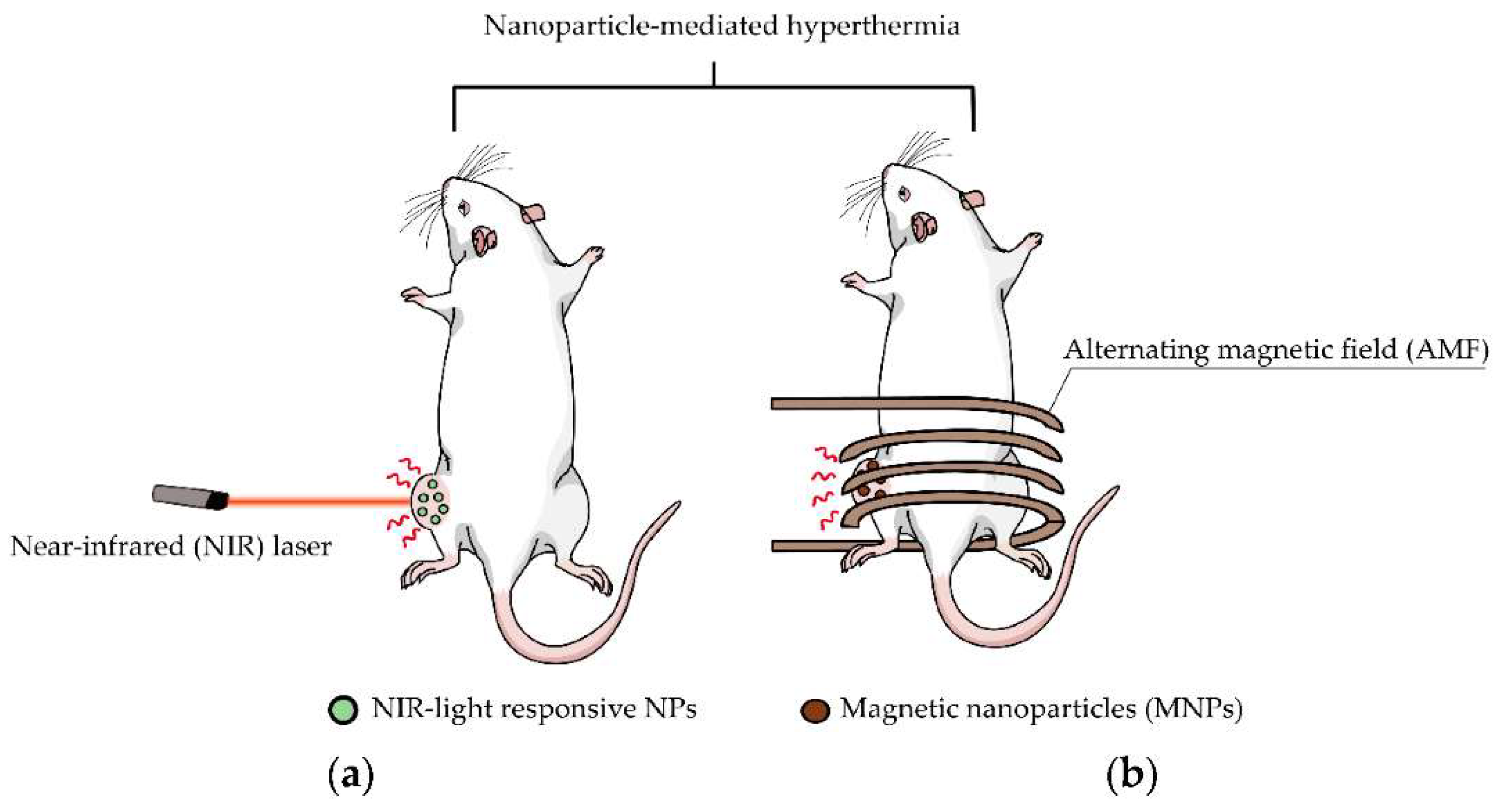 Materials 15 01786 g002